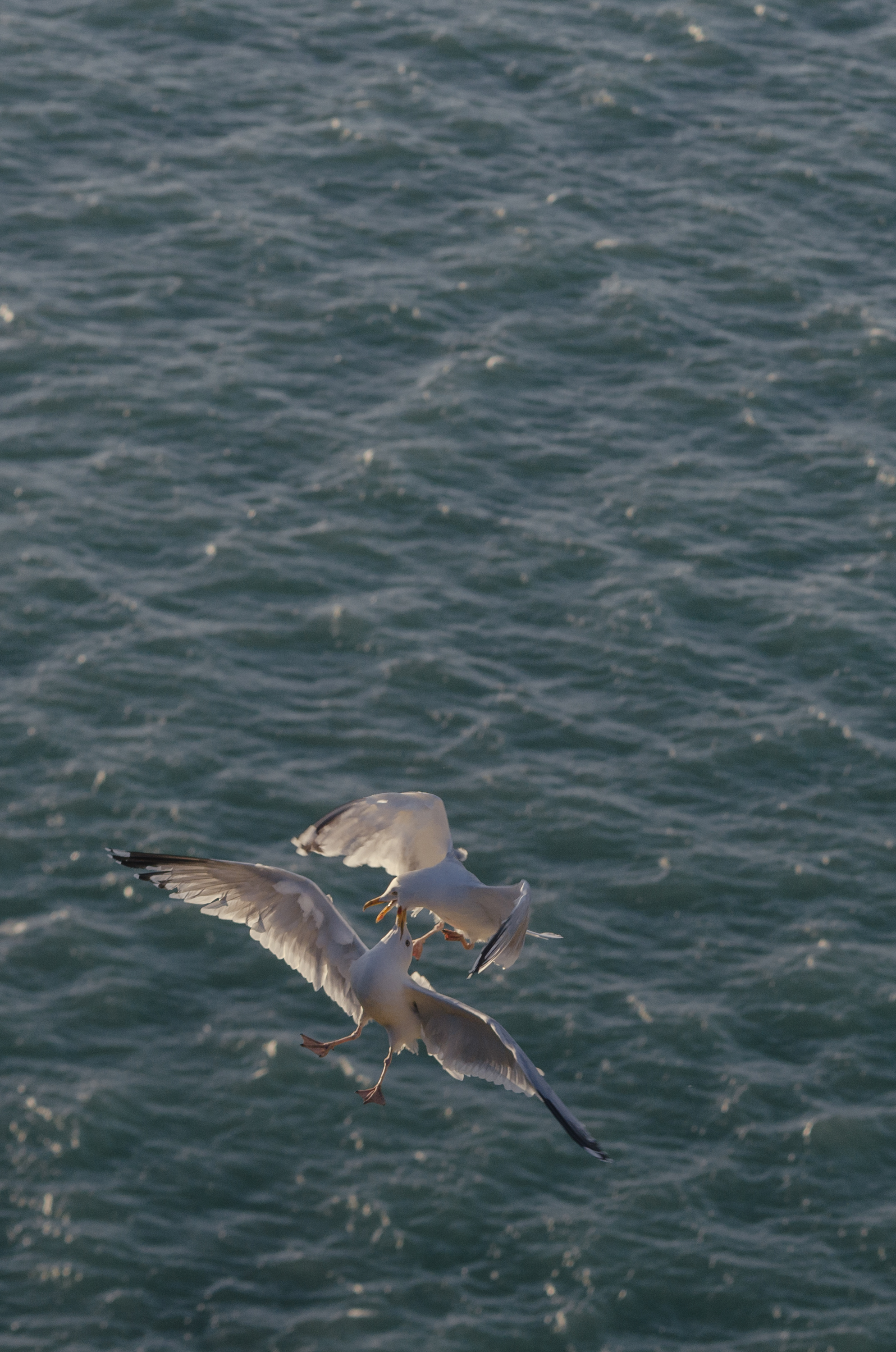 Фото 317 из альбома Le Havre & Etretat 2023
