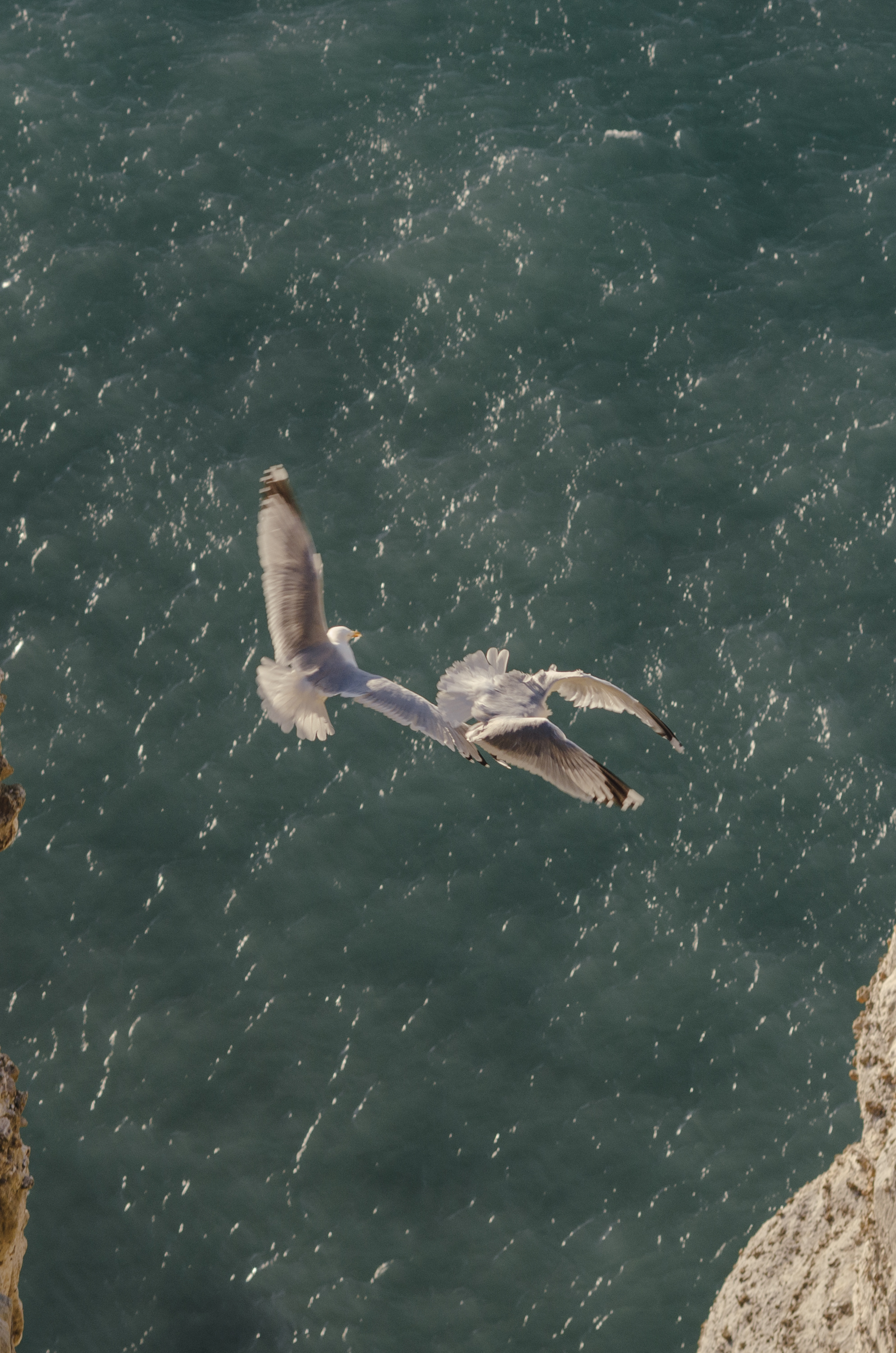 Фото 319 из альбома Le Havre & Etretat 2023