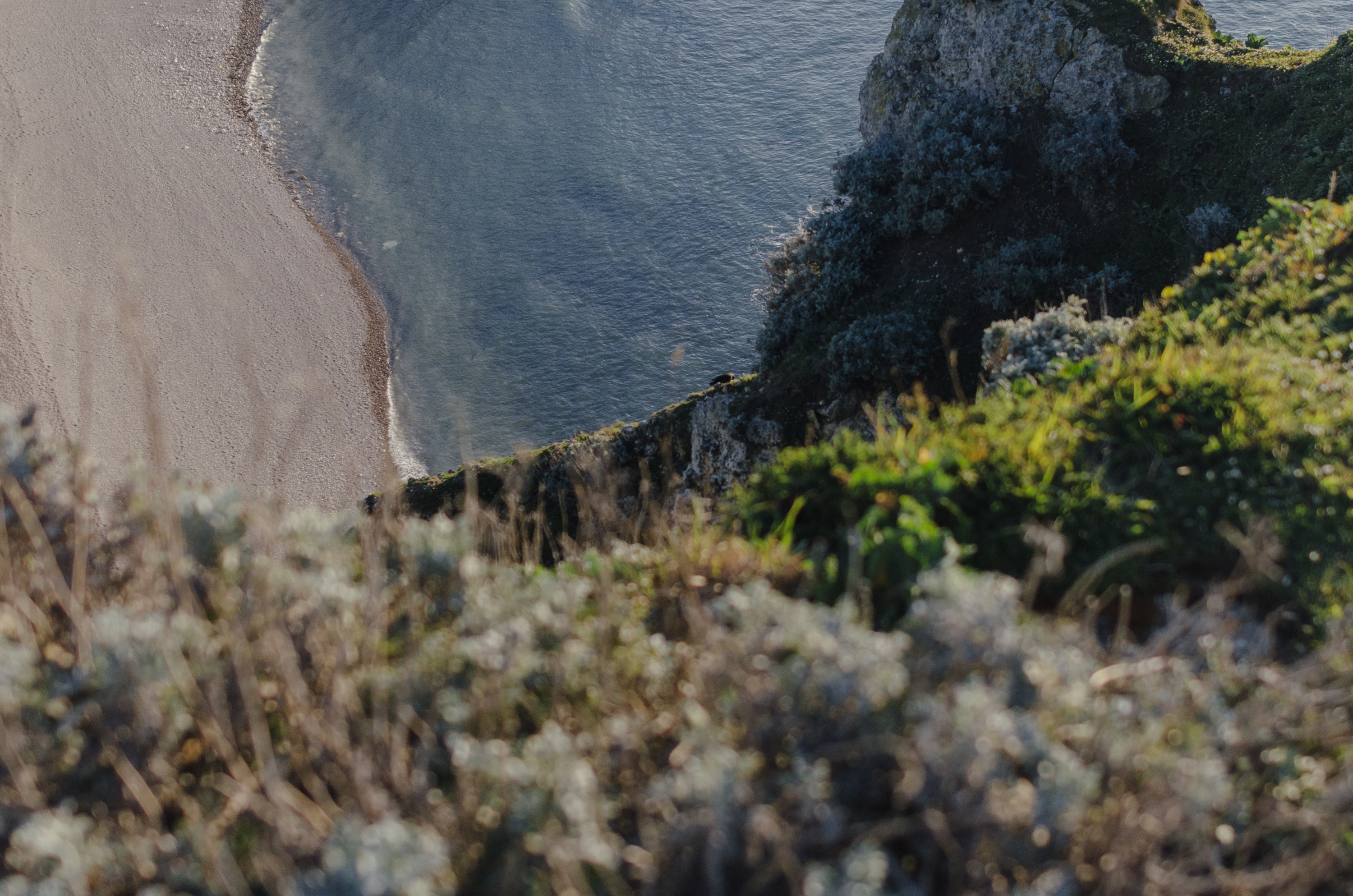 Фото 326 из альбома Le Havre & Etretat 2023