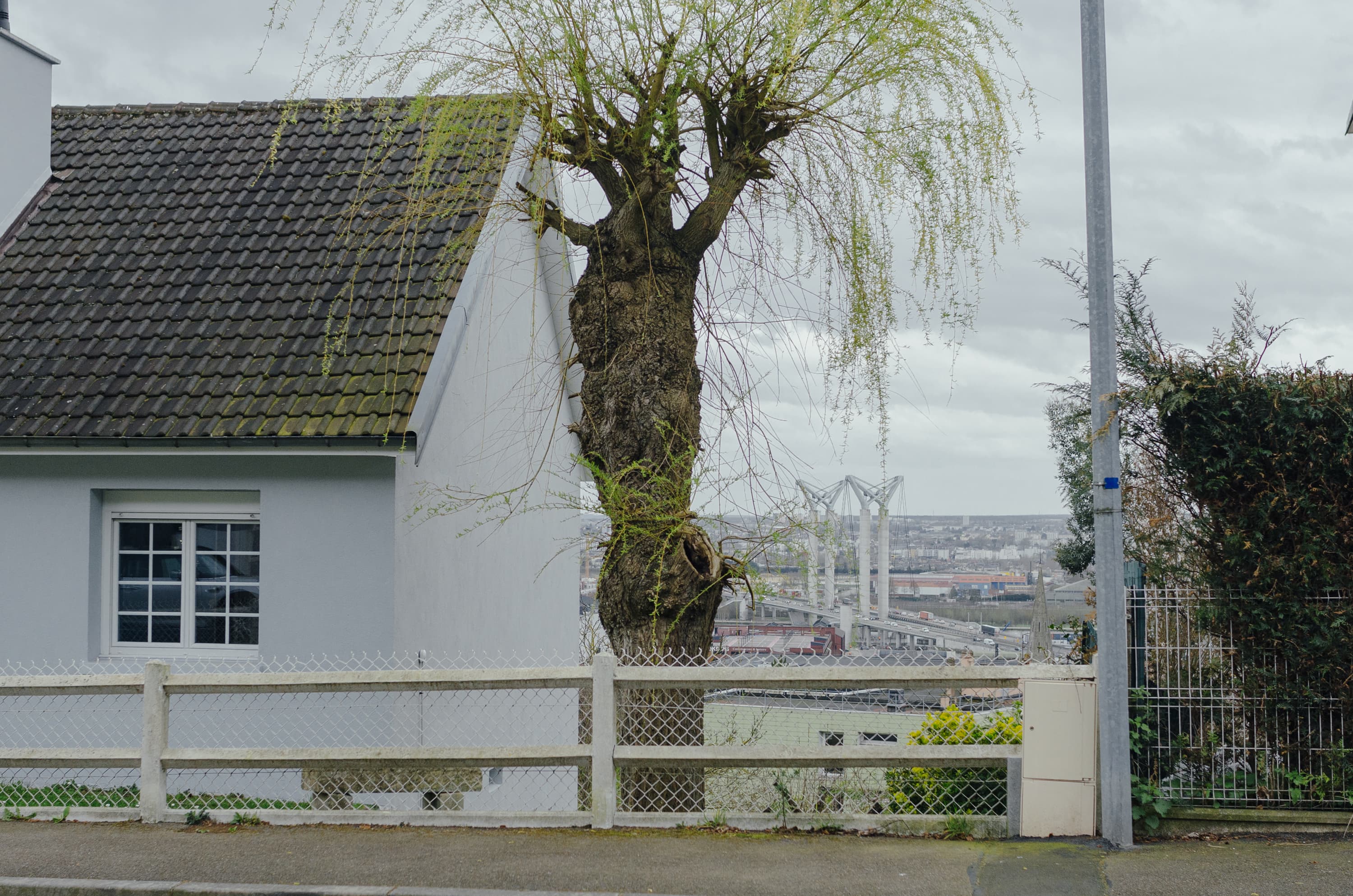 Фото 25 из альбома Rouen & Paris 2023