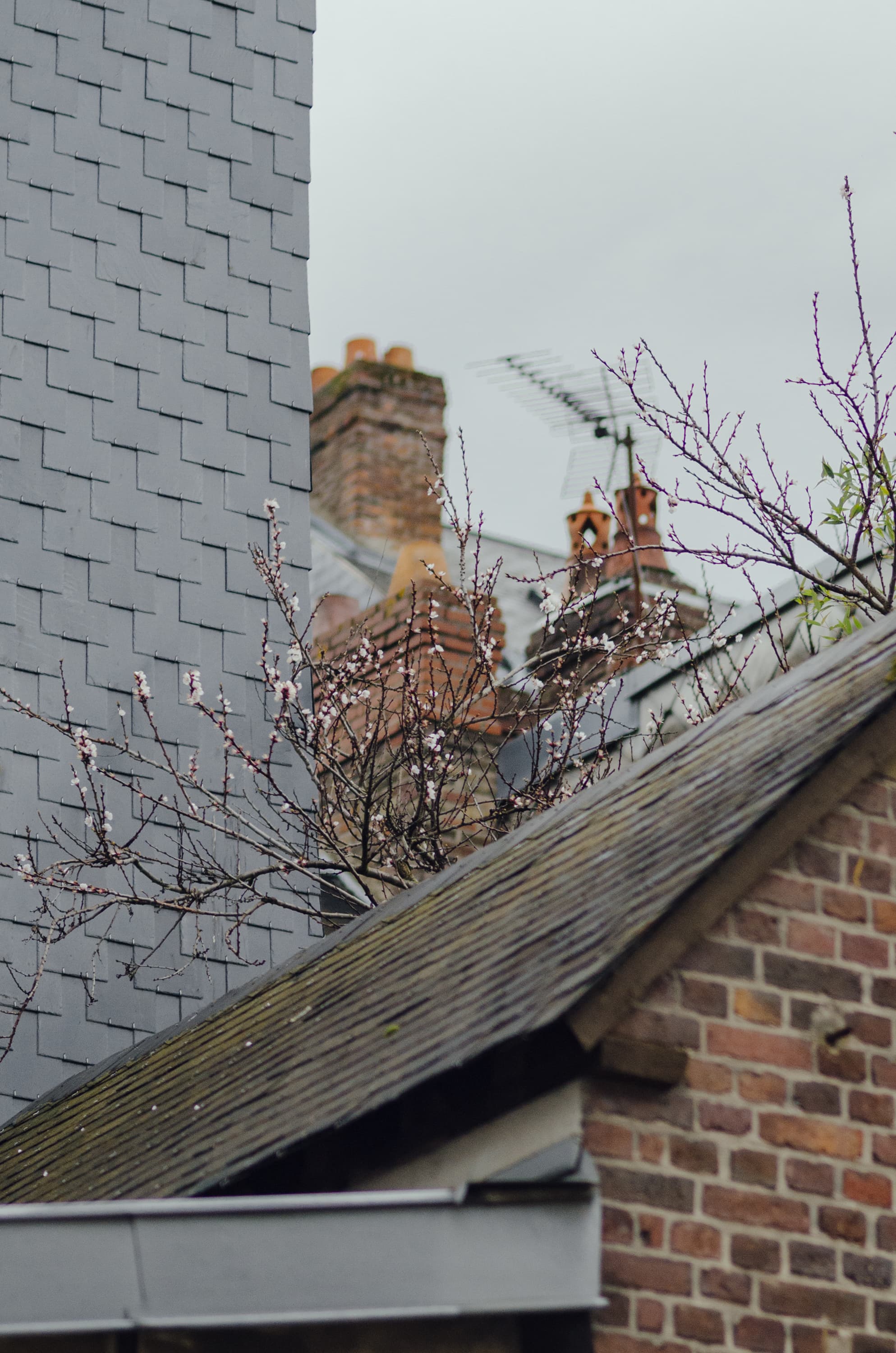 Фото 33 из альбома Rouen & Paris 2023