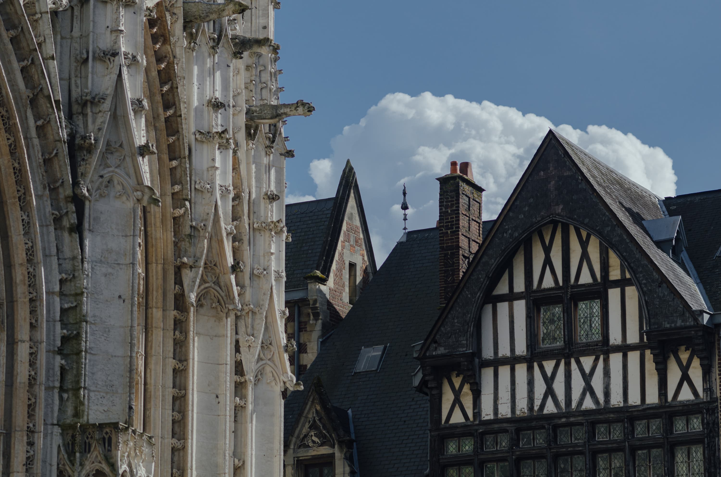 Фото 64 из альбома Rouen & Paris 2023