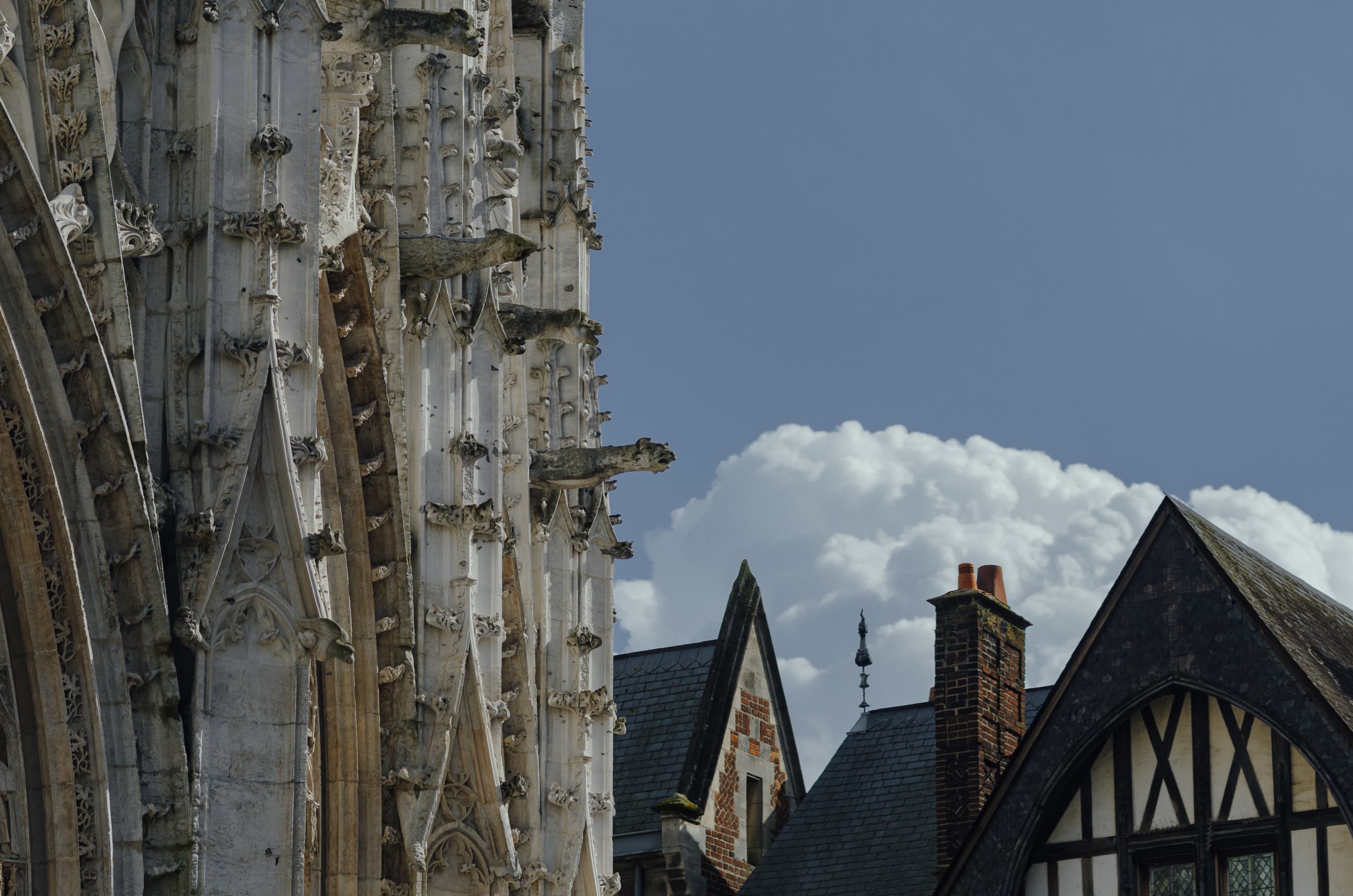 Фото 65 из альбома Rouen & Paris 2023