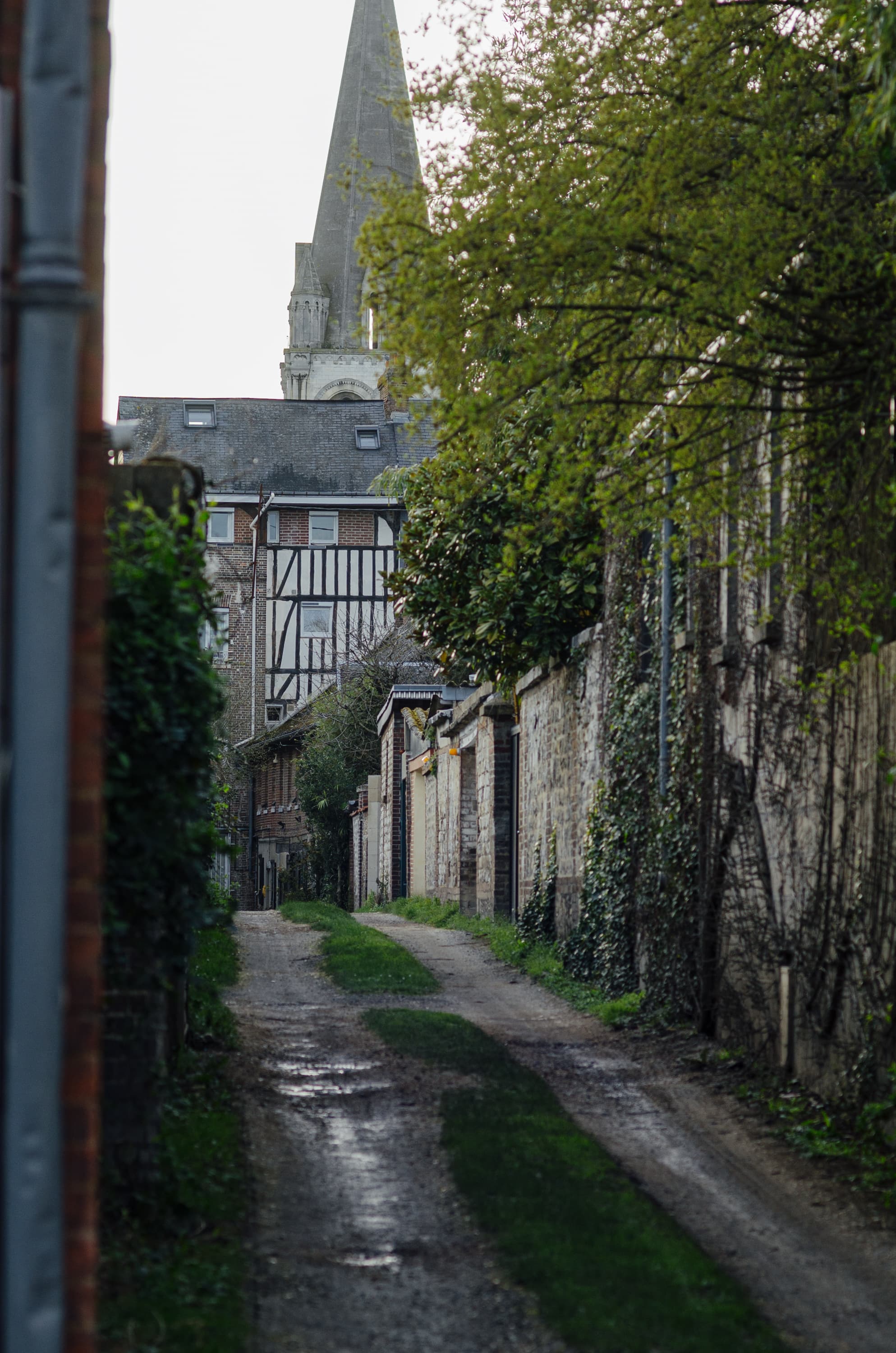 Фото 111 из альбома Rouen & Paris 2023