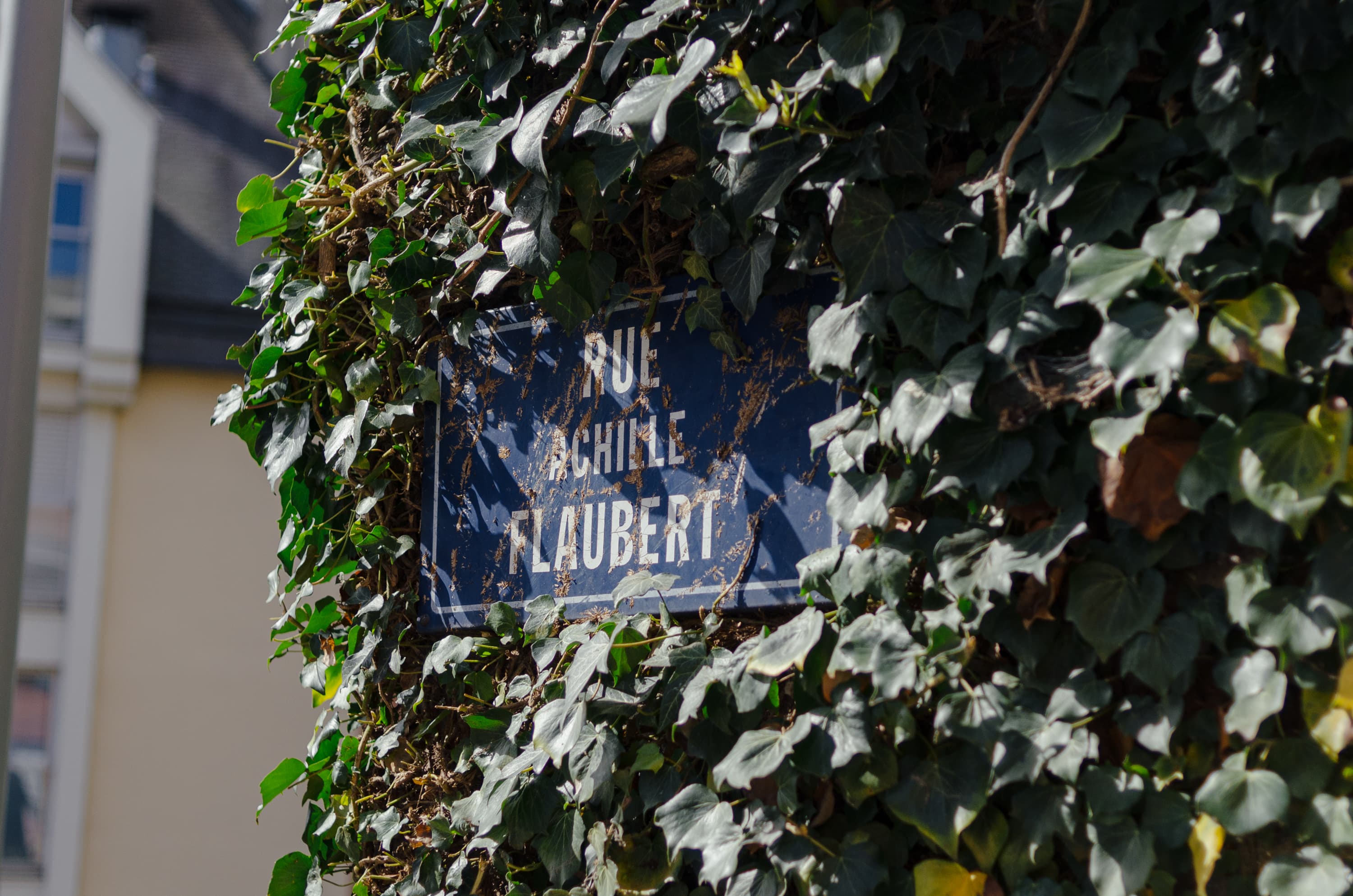 Фото 114 из альбома Rouen & Paris 2023