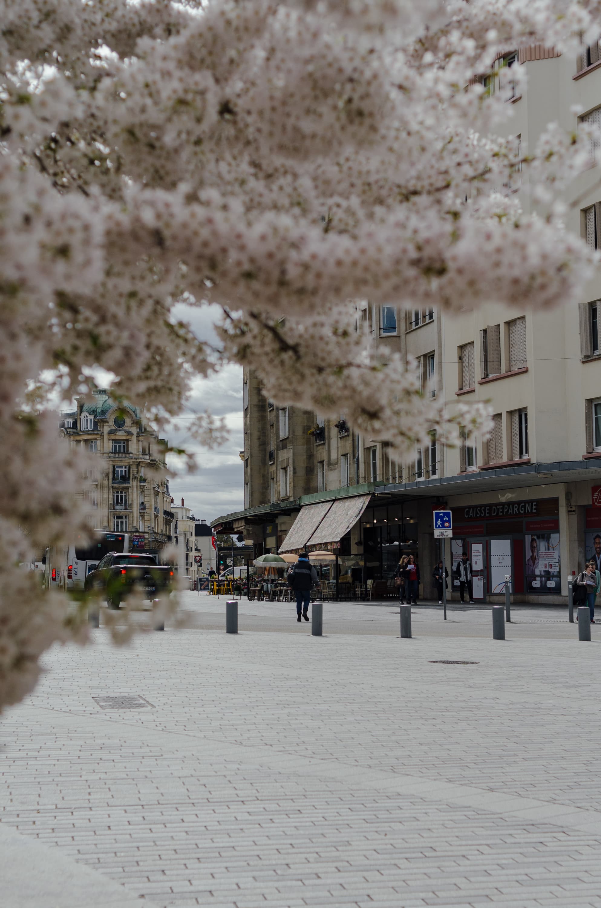 Фото 125 из альбома Rouen & Paris 2023