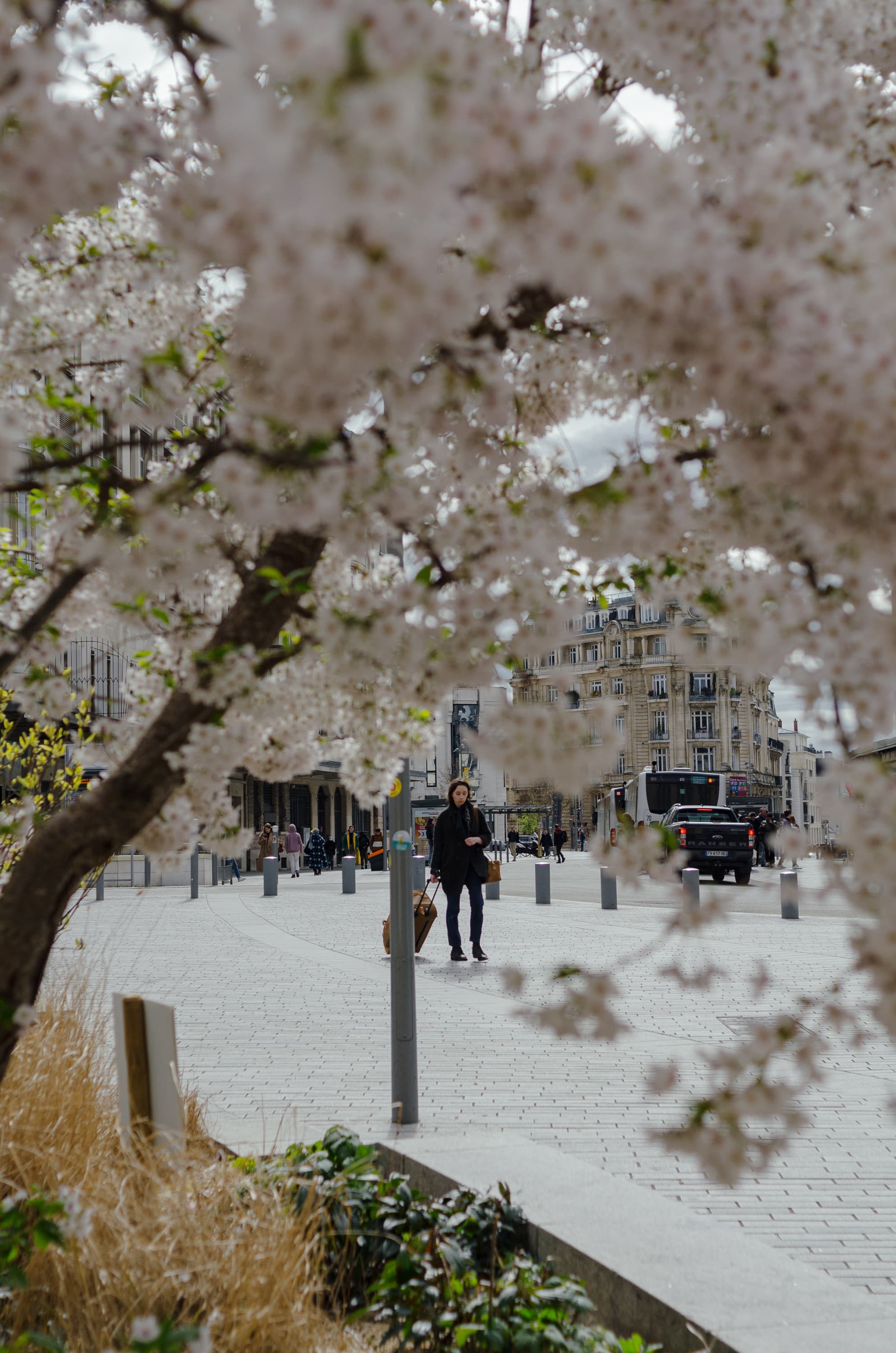 Фото 126 из альбома Rouen & Paris 2023