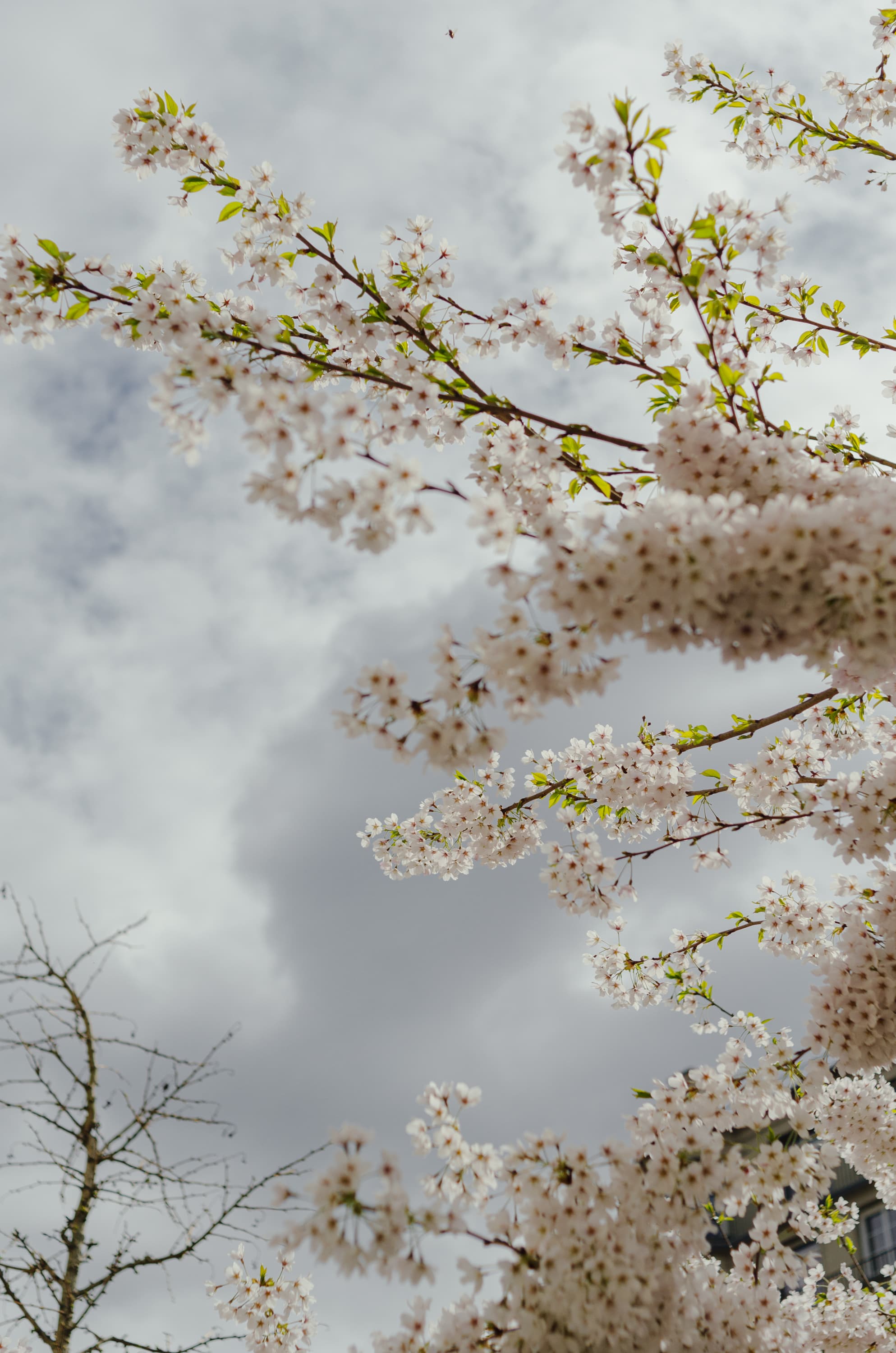 Фото 127 из альбома Rouen & Paris 2023