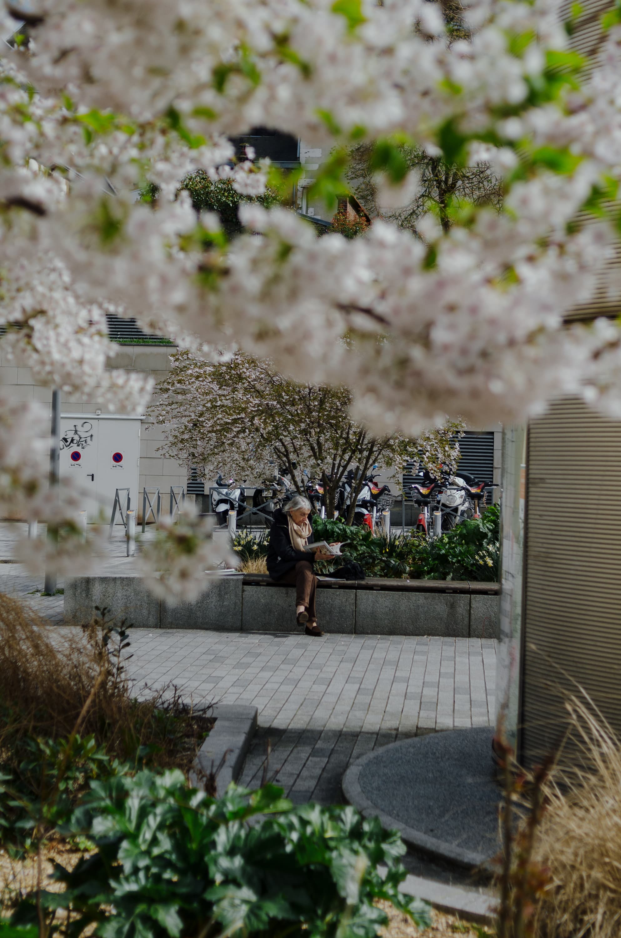 Фото 128 из альбома Rouen & Paris 2023