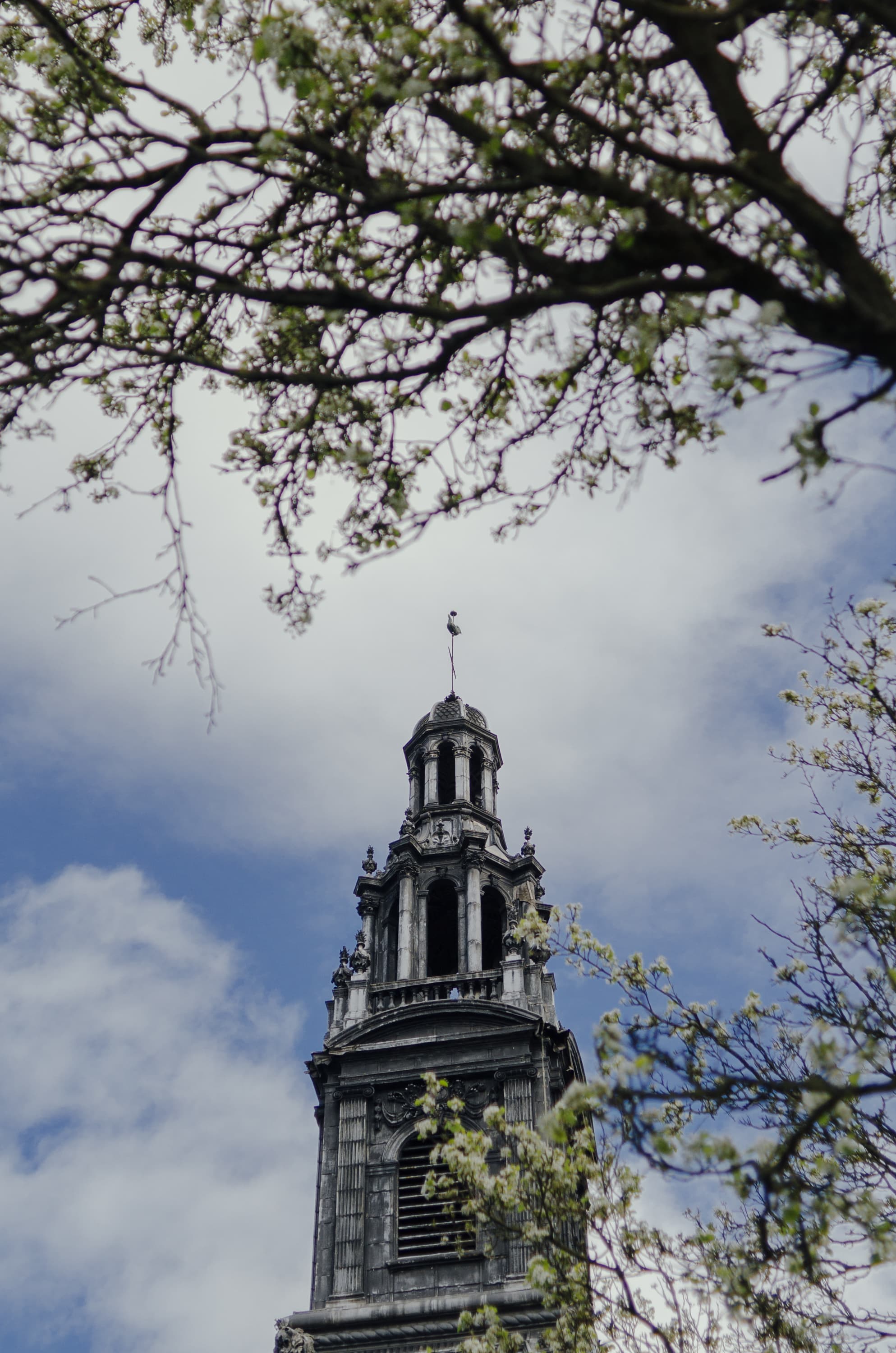 Фото 131 из альбома Rouen & Paris 2023