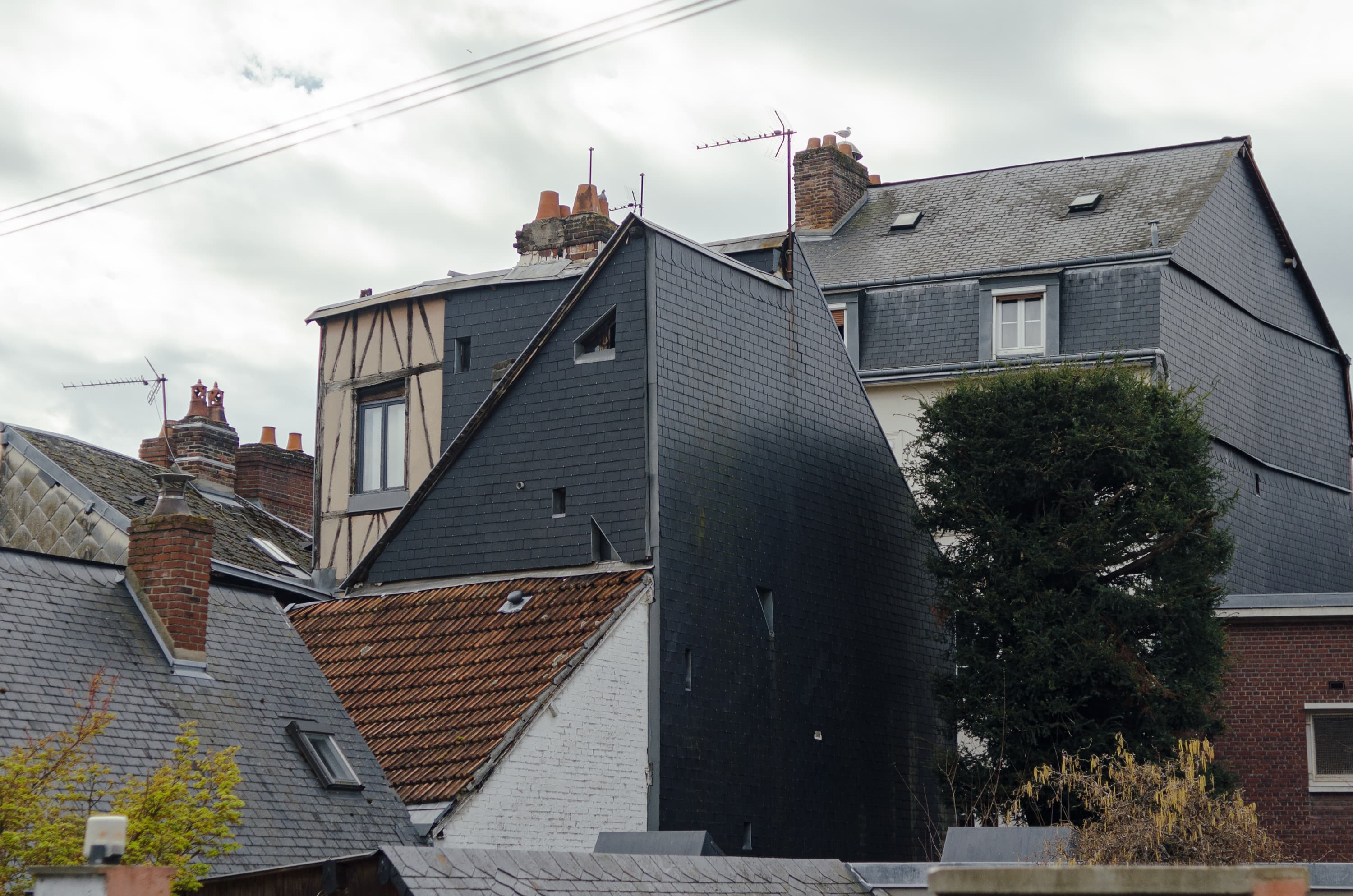 Фото 133 из альбома Rouen & Paris 2023