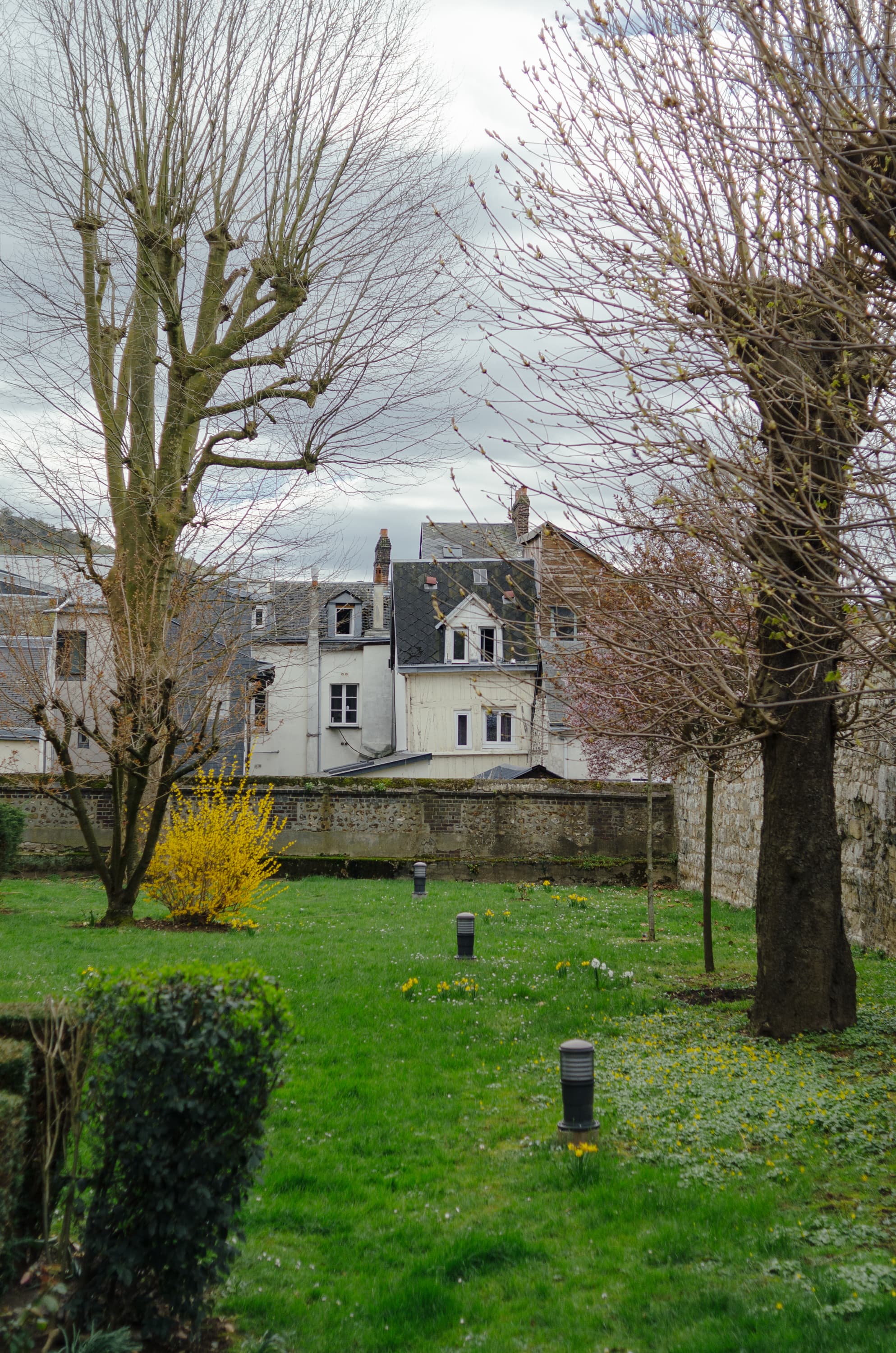 Фото 135 из альбома Rouen & Paris 2023