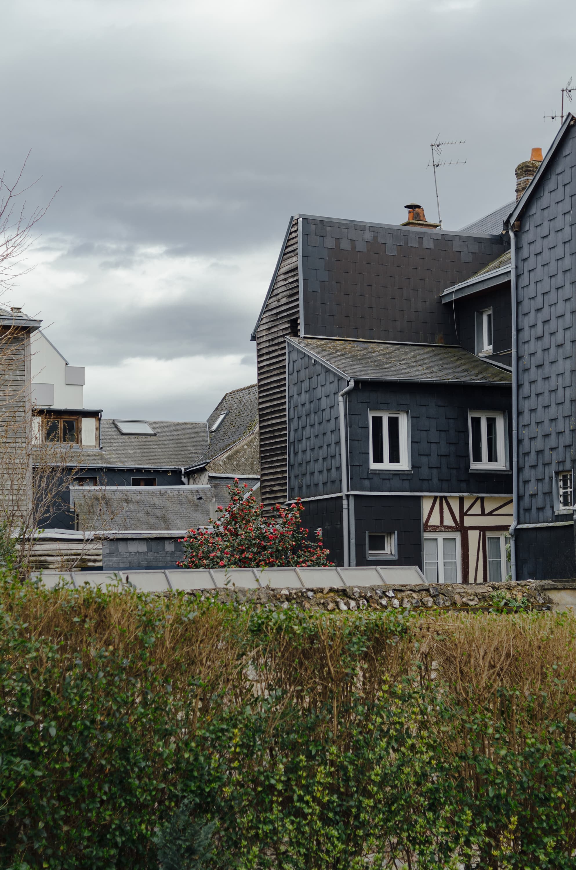 Фото 137 из альбома Rouen & Paris 2023