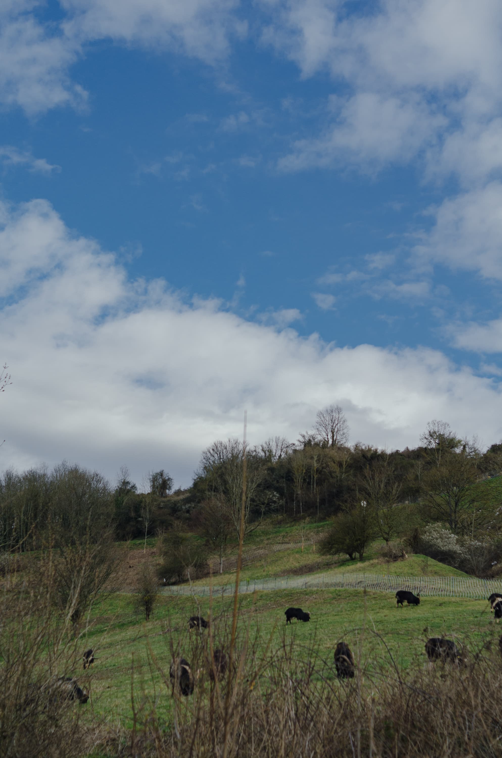 Фото 143 из альбома Rouen & Paris 2023