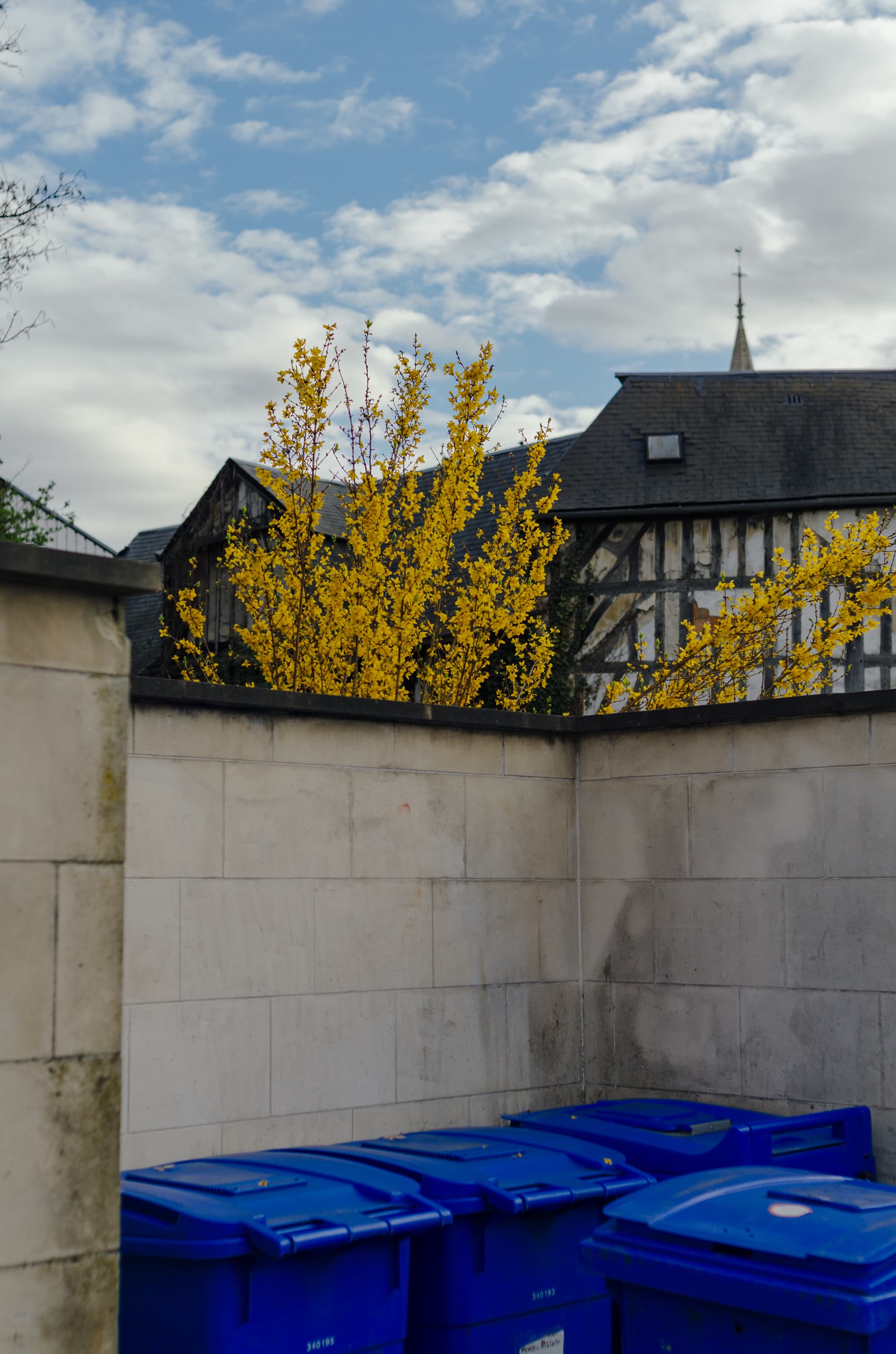 Фото 145 из альбома Rouen & Paris 2023