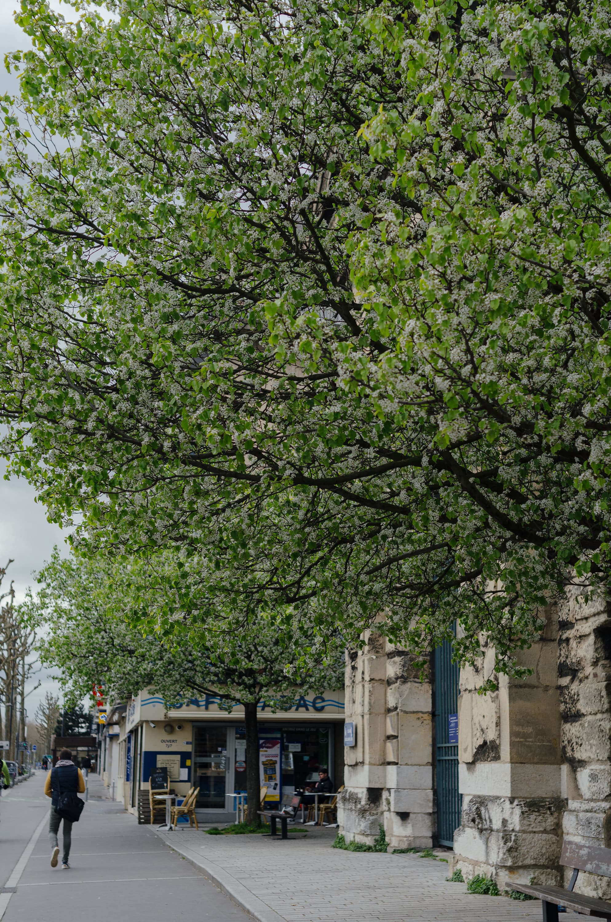 Фото 147 из альбома Rouen & Paris 2023