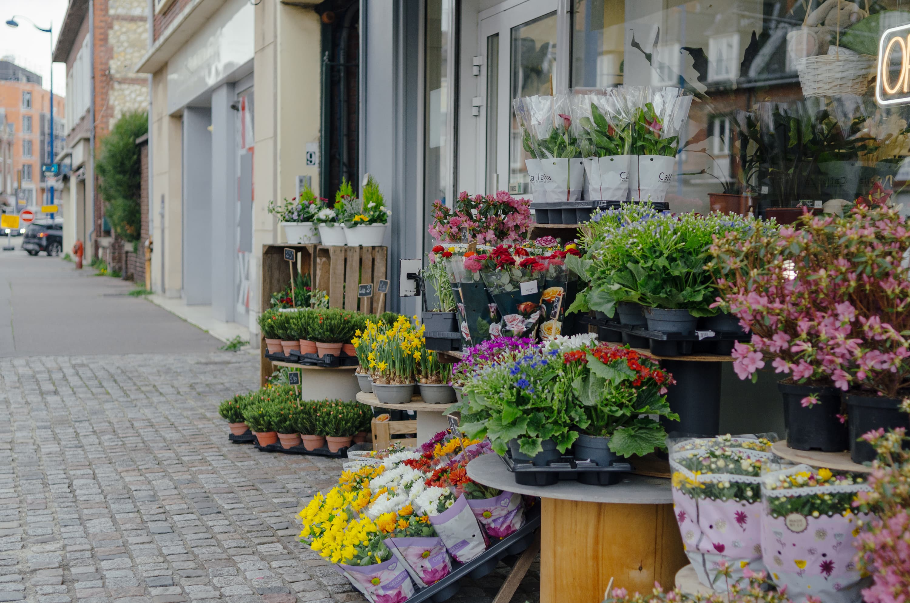 Фото 178 из альбома Rouen & Paris 2023