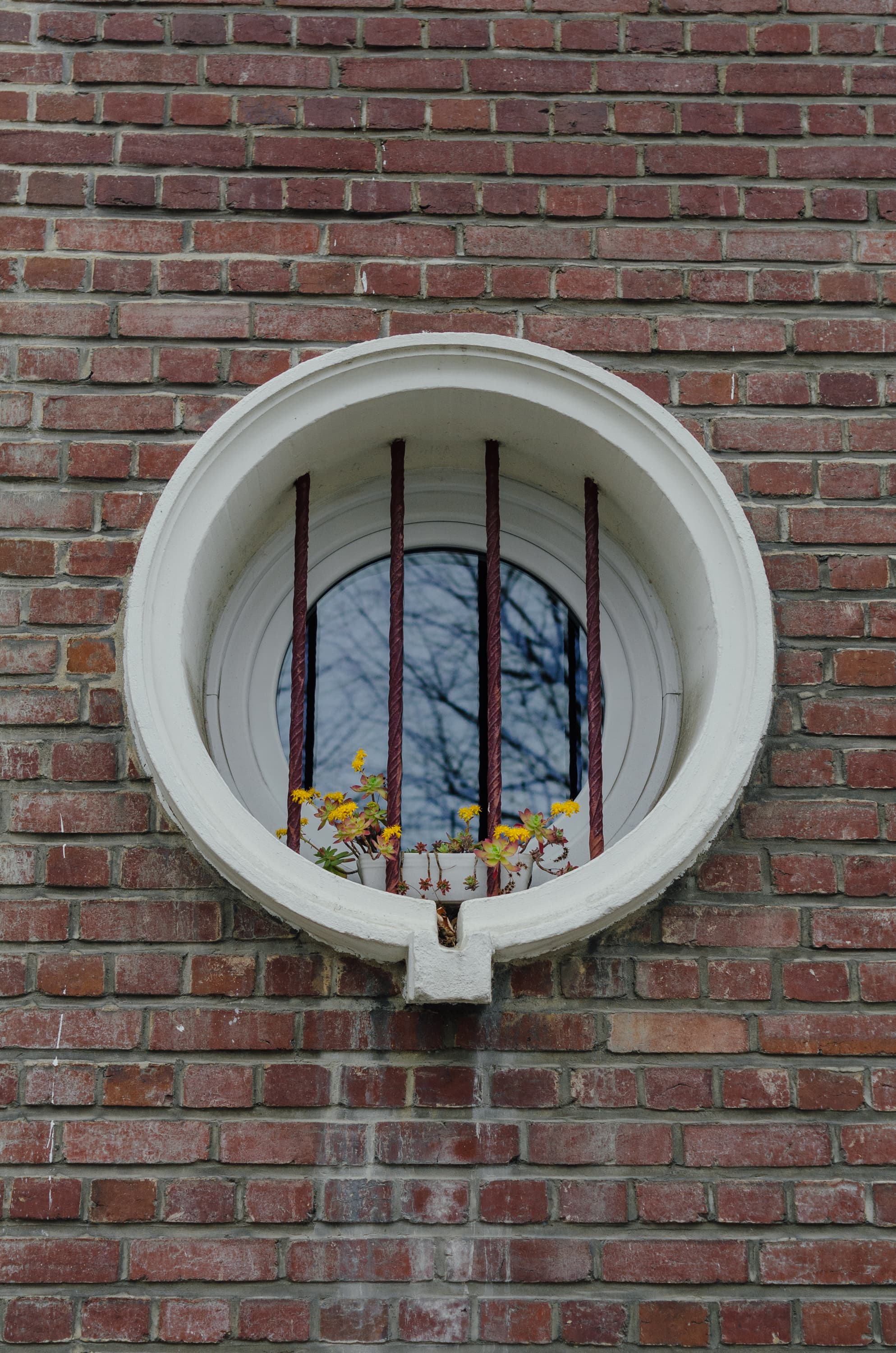 Фото 183 из альбома Rouen & Paris 2023