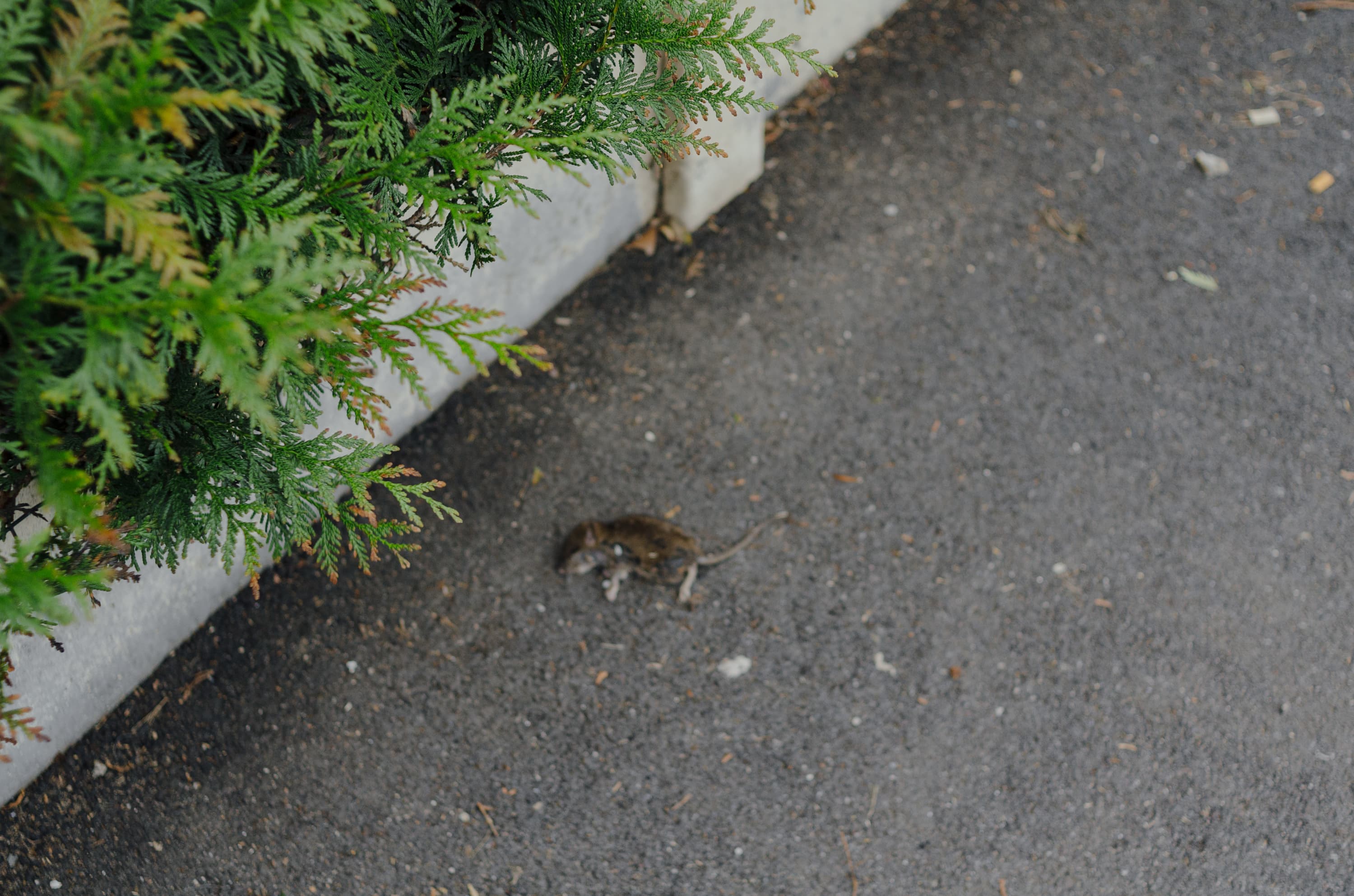 Фото 187 из альбома Rouen & Paris 2023