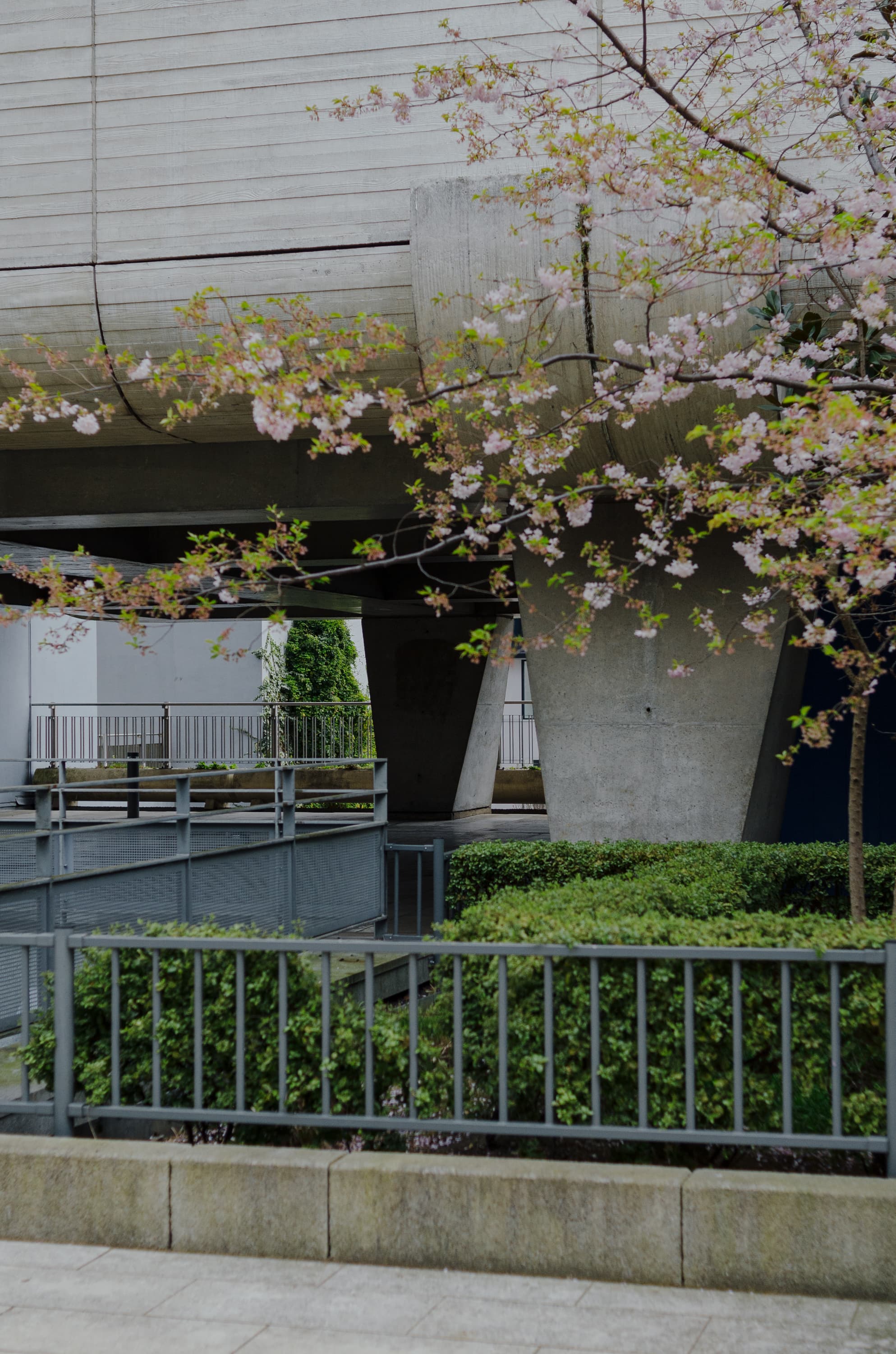 Фото 193 из альбома Rouen & Paris 2023