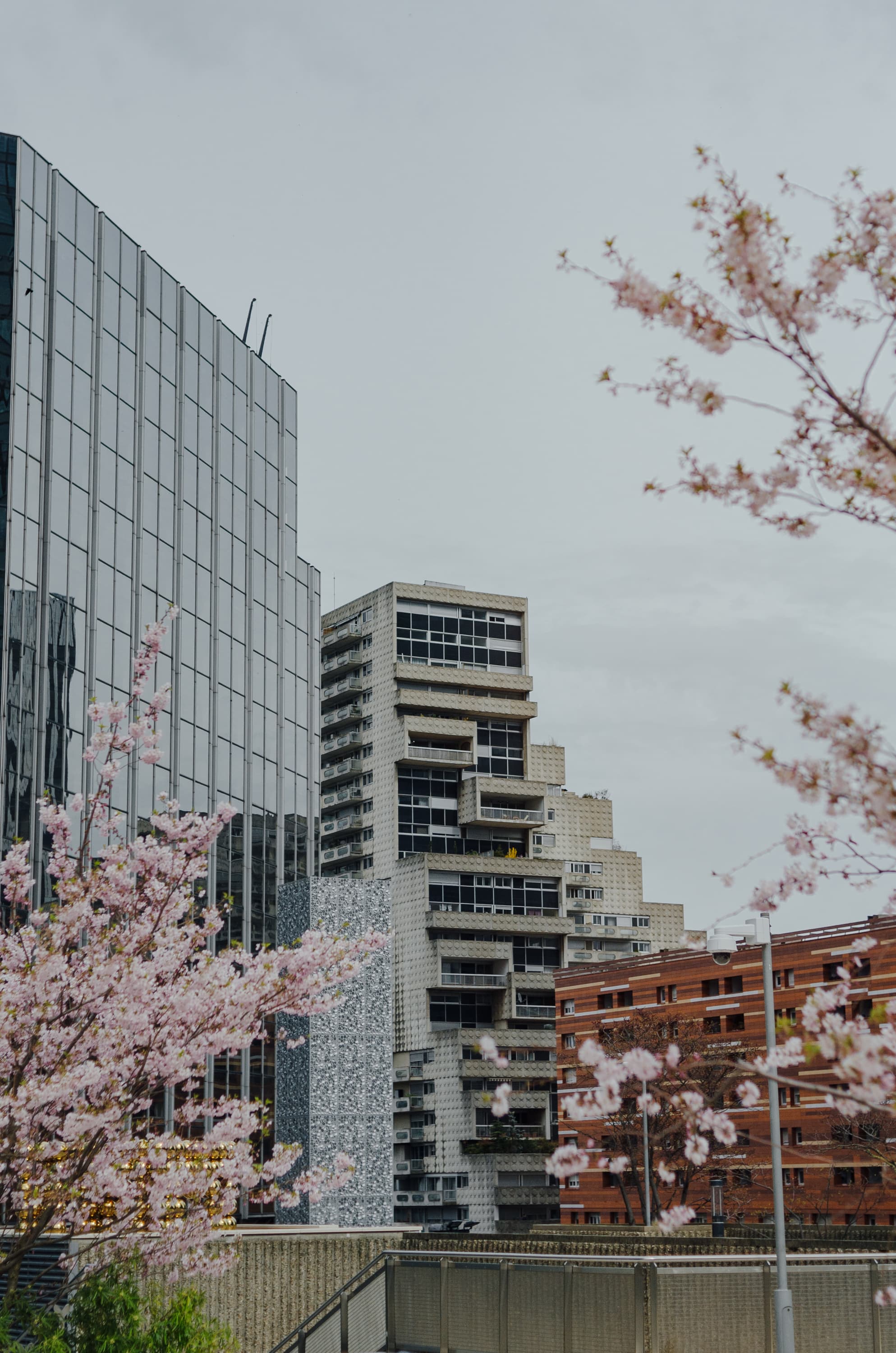 Фото 194 из альбома Rouen & Paris 2023