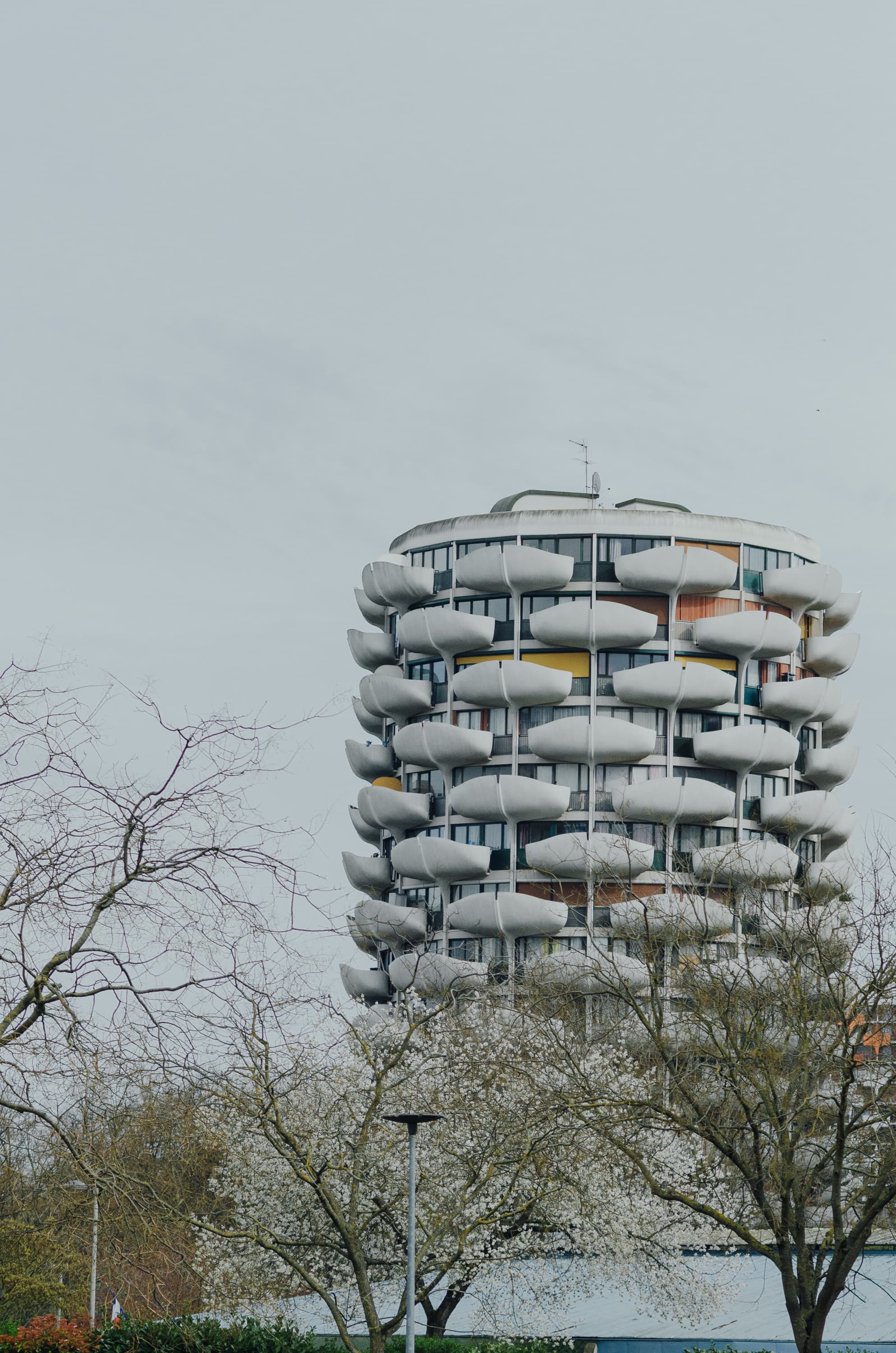 Фото 219 из альбома Rouen & Paris 2023