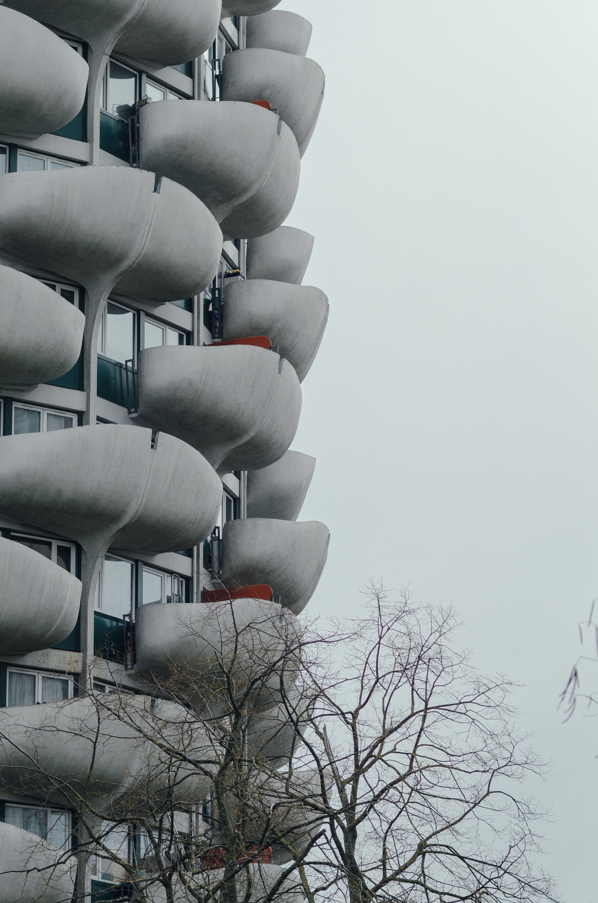 Фото 221 из альбома Rouen & Paris 2023