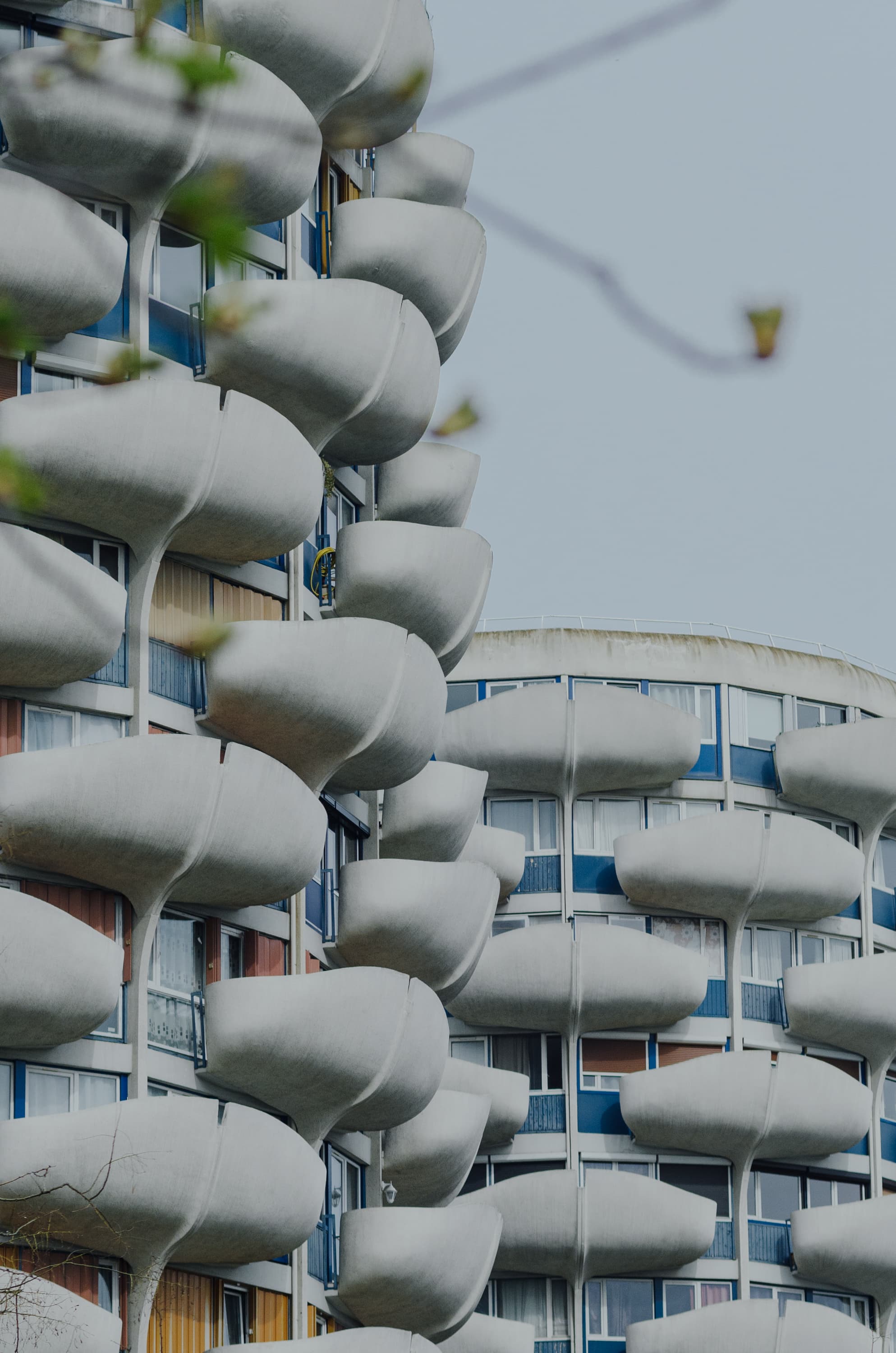 Фото 222 из альбома Rouen & Paris 2023