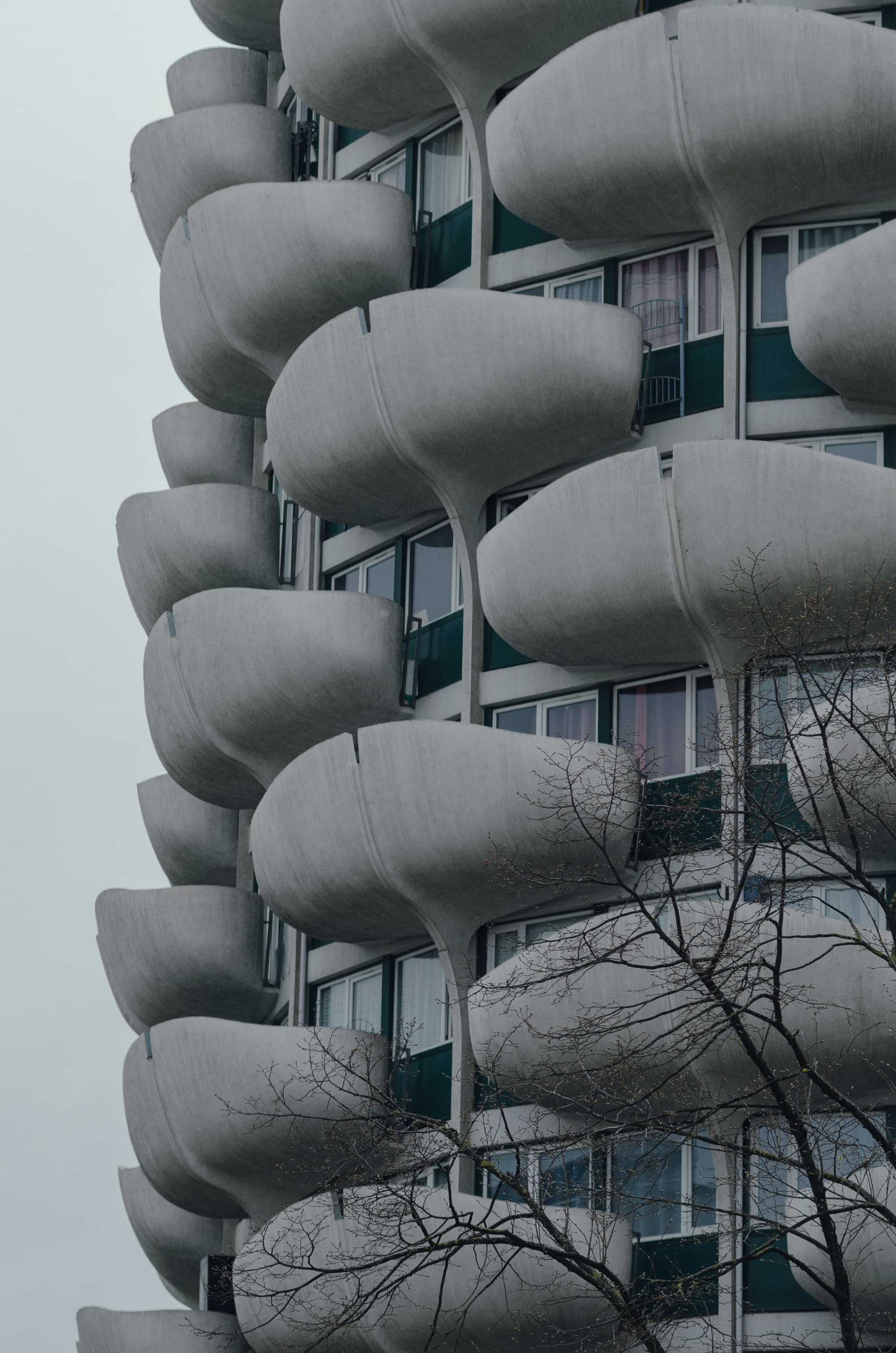 Фото 223 из альбома Rouen & Paris 2023