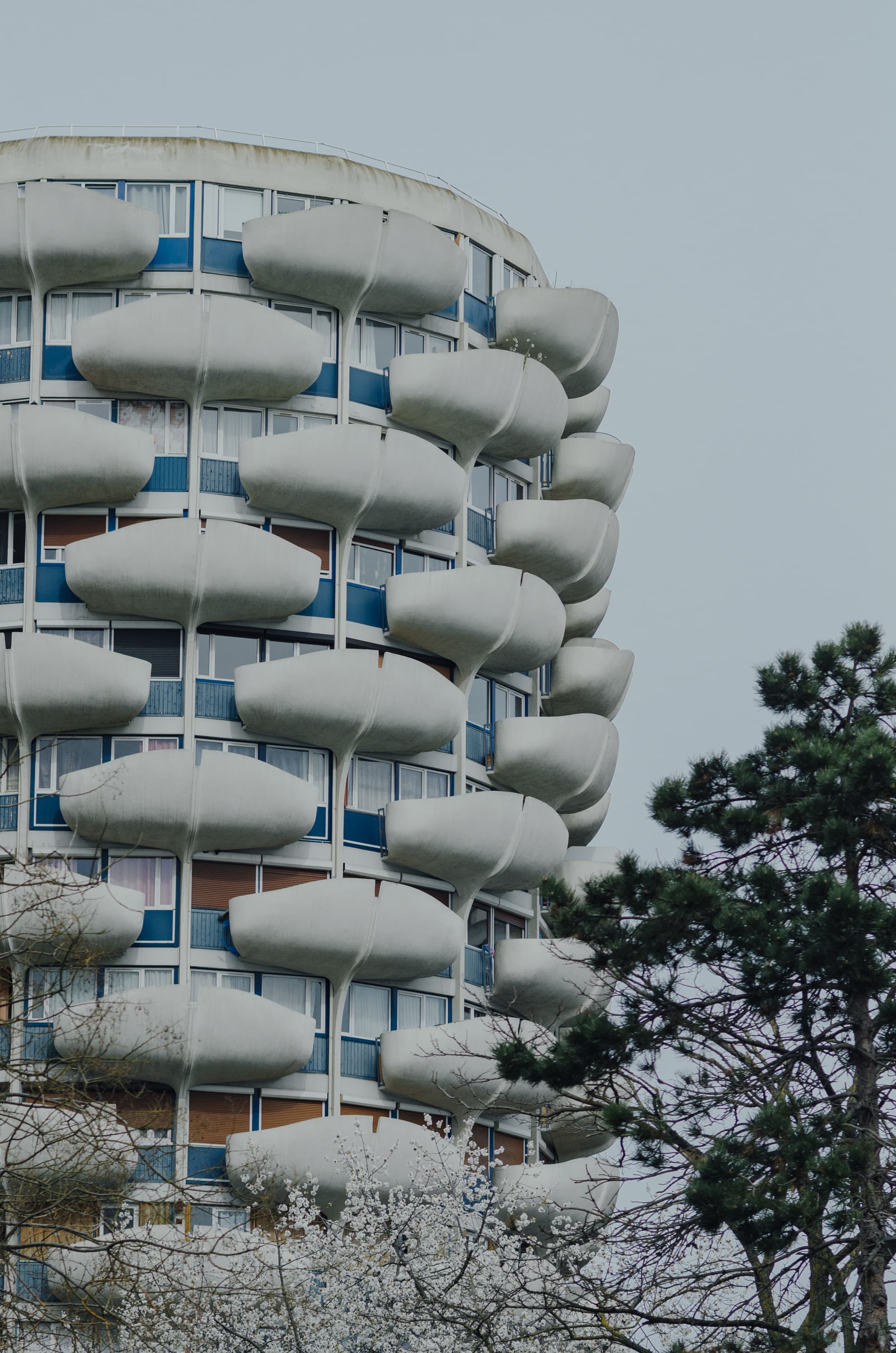 Фото 224 из альбома Rouen & Paris 2023