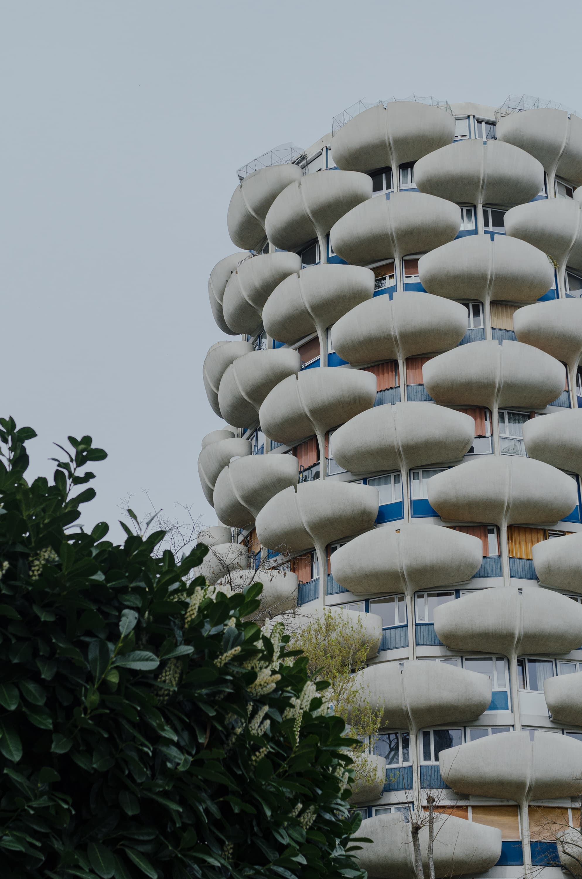 Фото 226 из альбома Rouen & Paris 2023