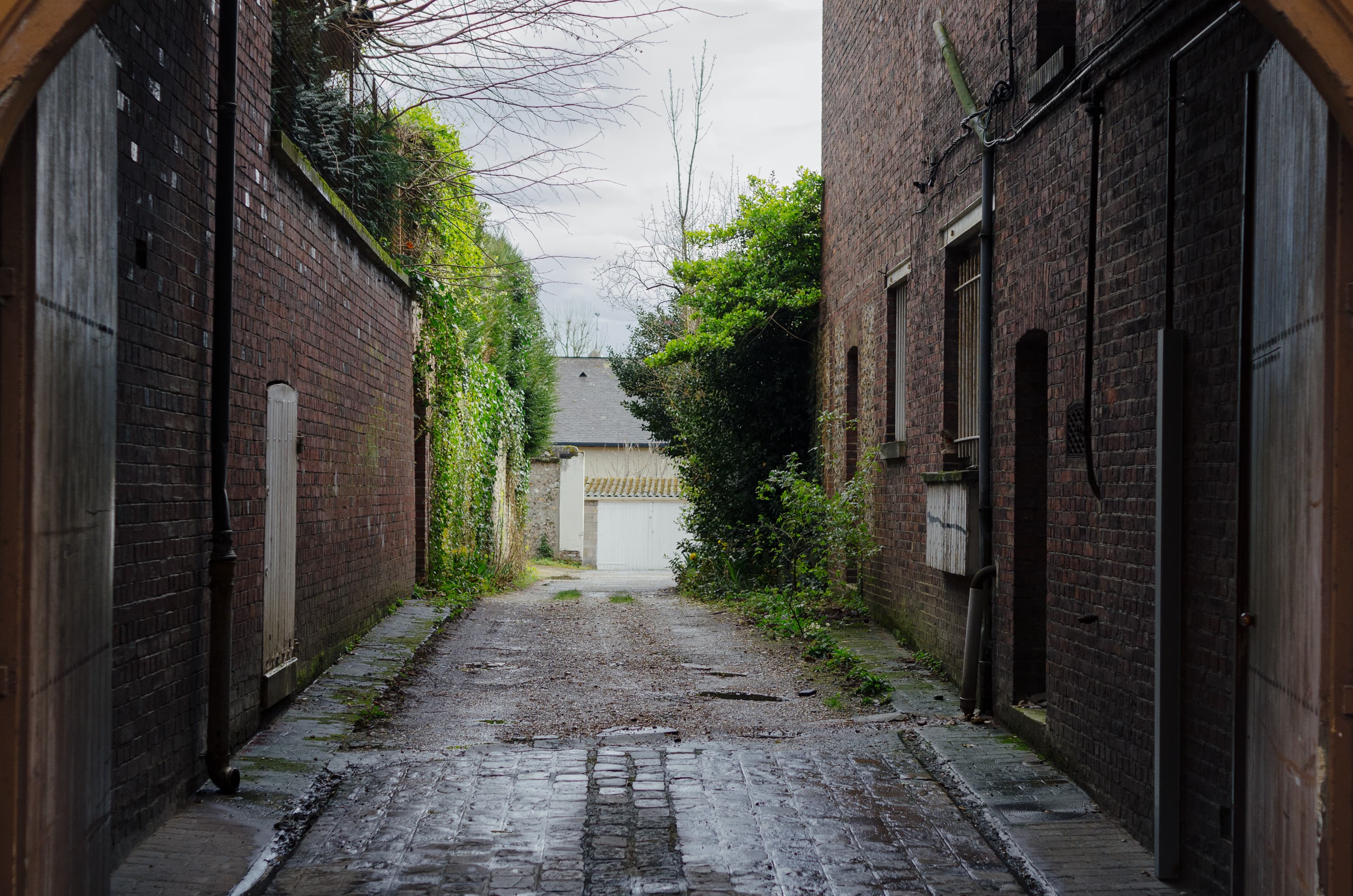 Фото 232 из альбома Rouen & Paris 2023