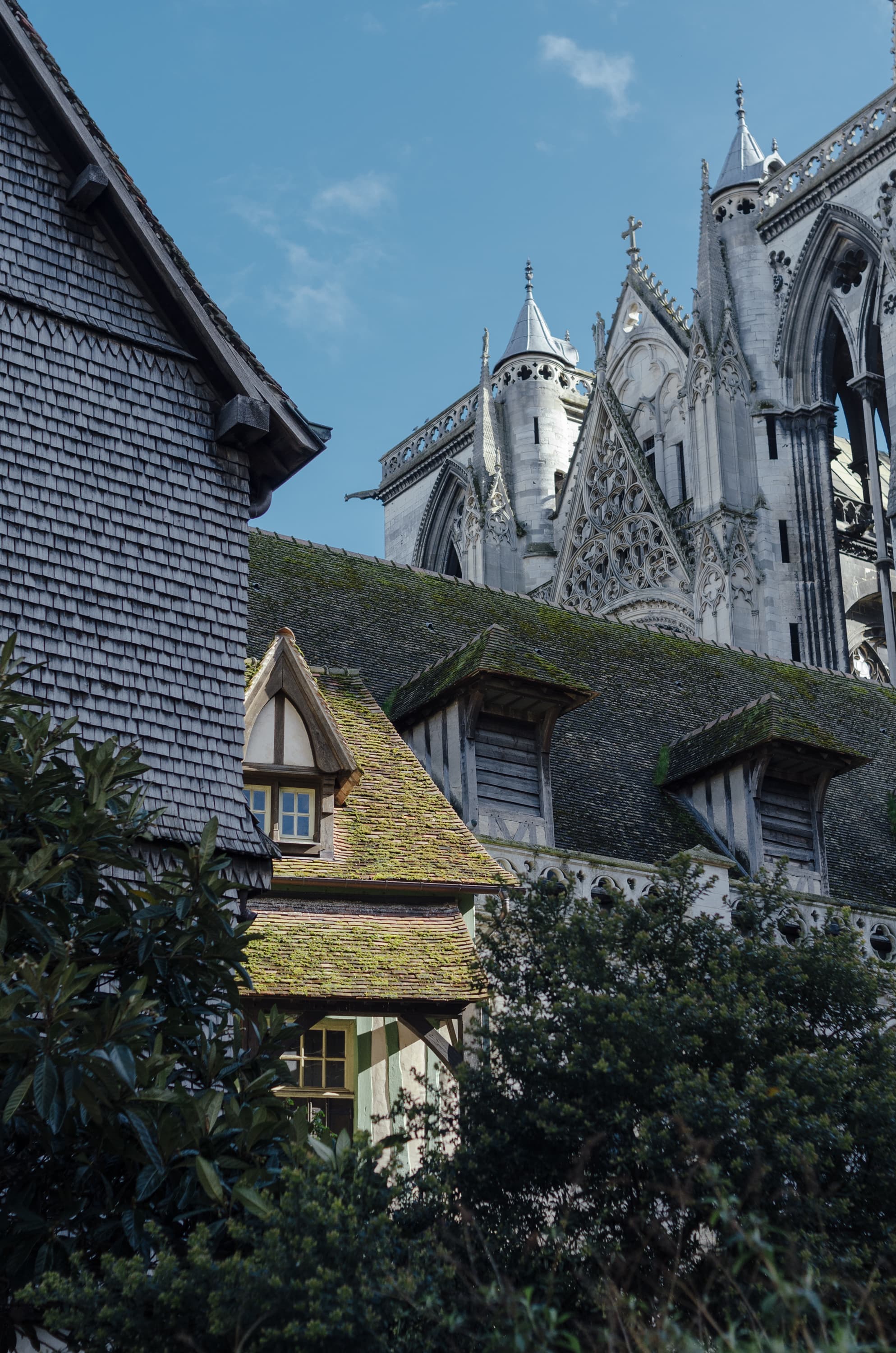 Фото 248 из альбома Rouen & Paris 2023