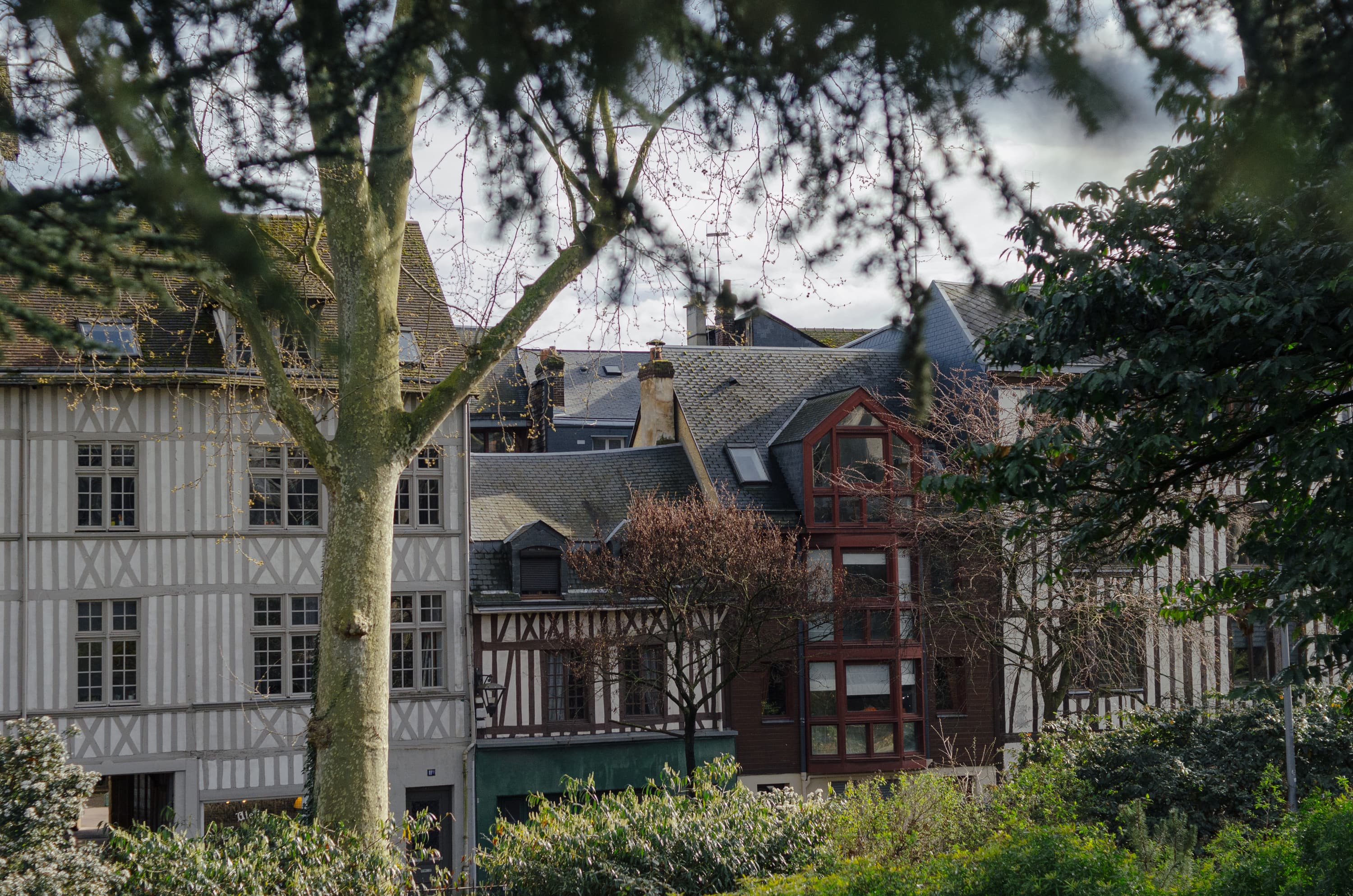 Фото 260 из альбома Rouen & Paris 2023