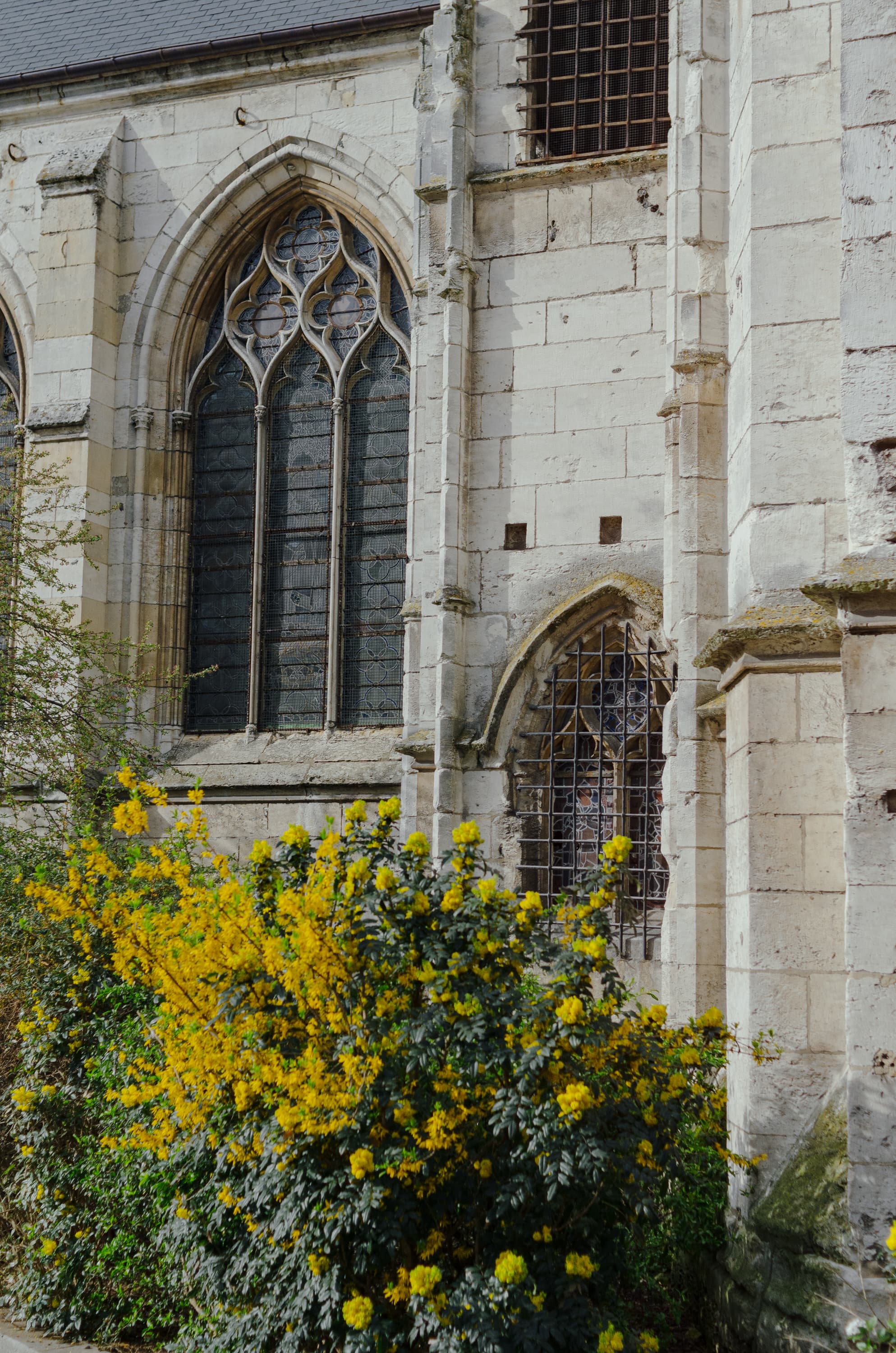 Фото 265 из альбома Rouen & Paris 2023