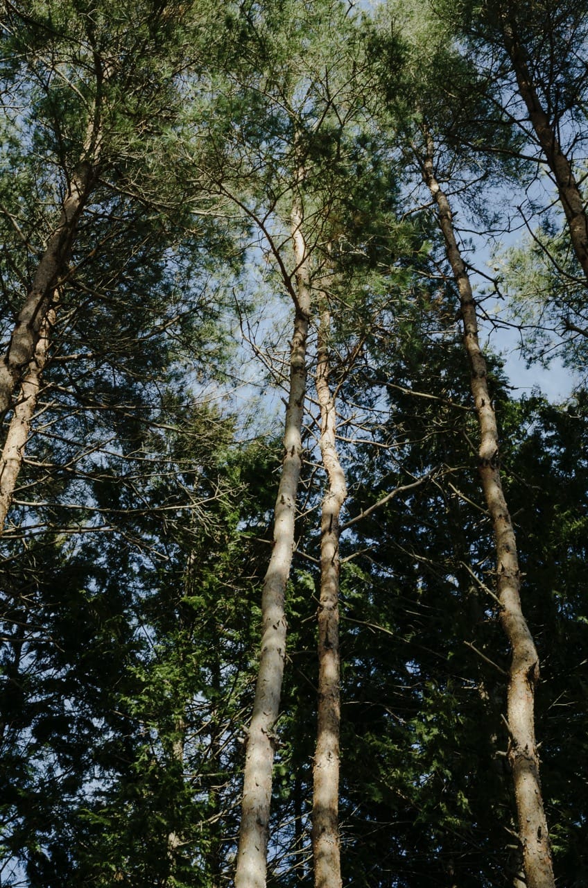 Фото 11 из альбома Fuji 2024