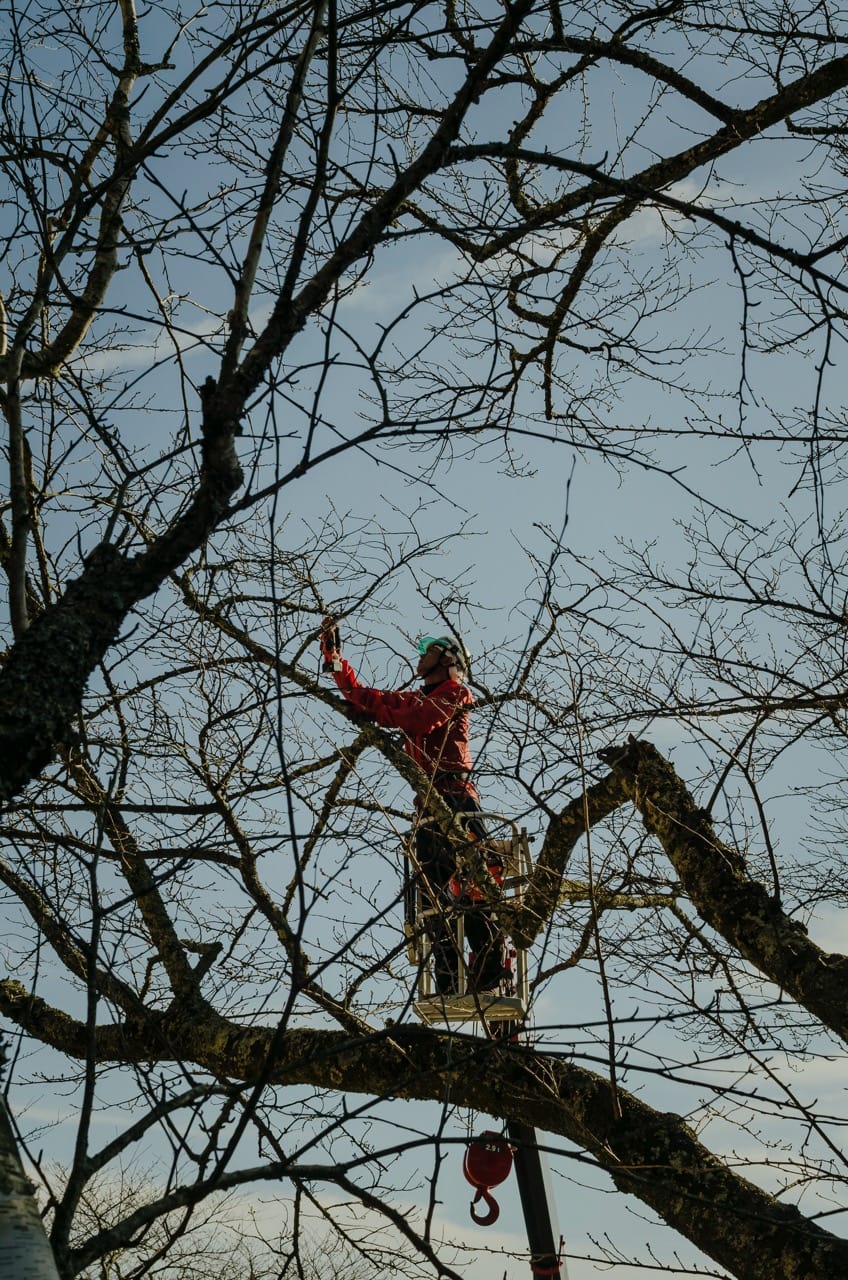 Фото 13 из альбома Fuji 2024