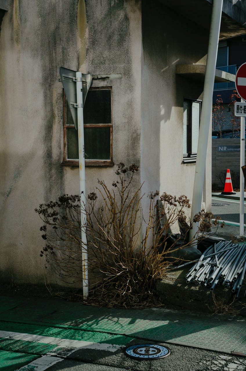 Фото 18 из альбома Fuji 2024