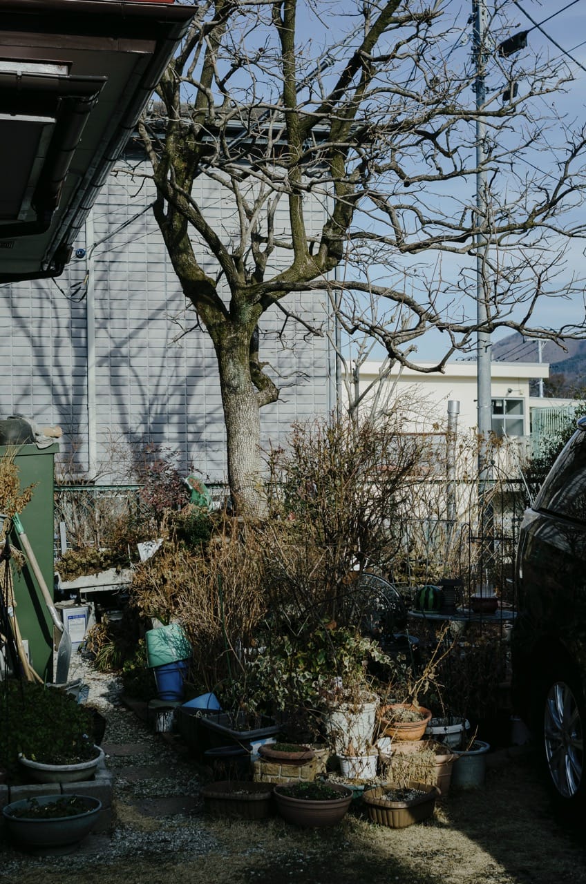 Фото 20 из альбома Fuji 2024