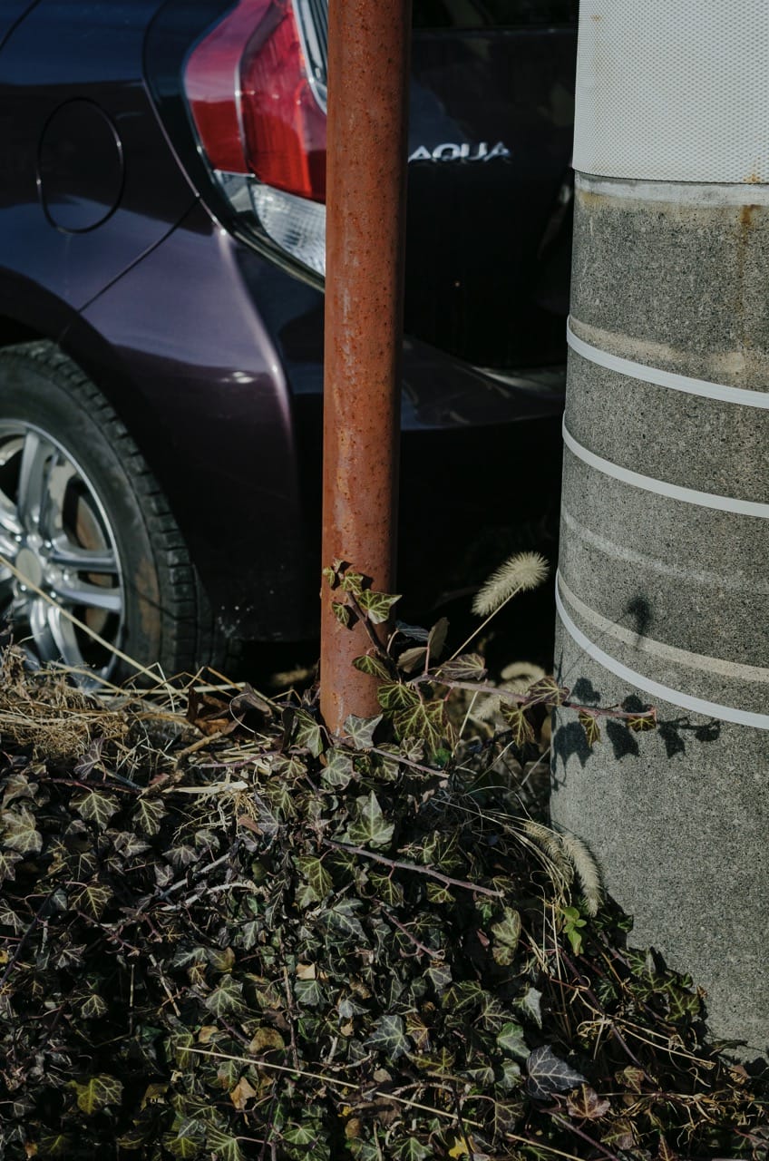 Фото 23 из альбома Fuji 2024