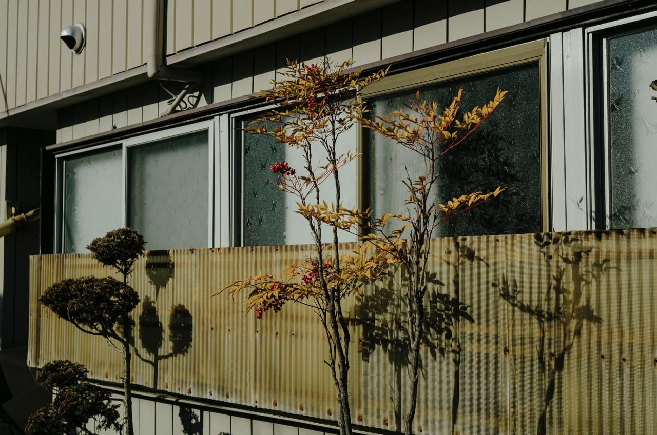 Фото 43 из альбома Fuji 2024