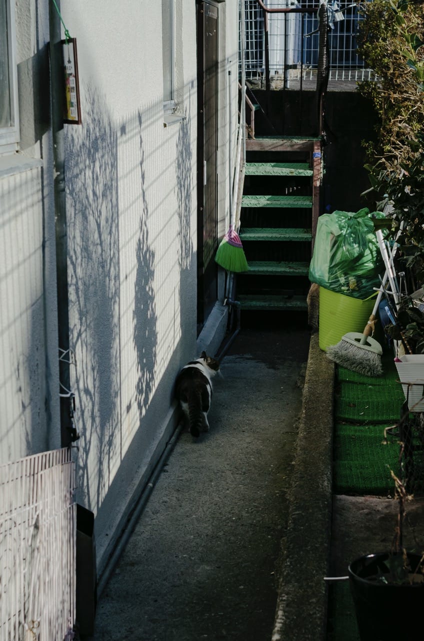 Фото 44 из альбома Fuji 2024