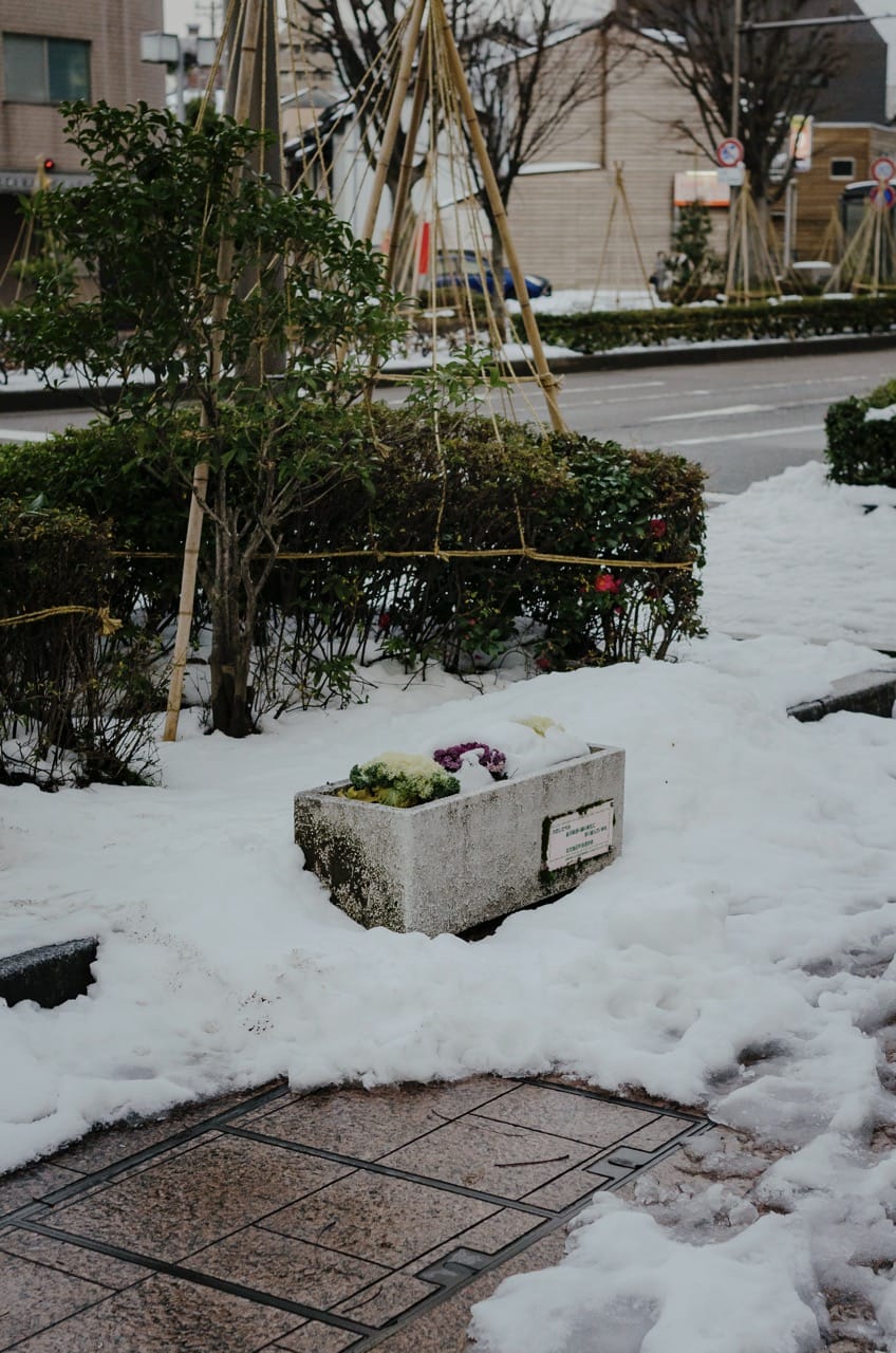 Фото 4 из альбома Kanazawa 2024