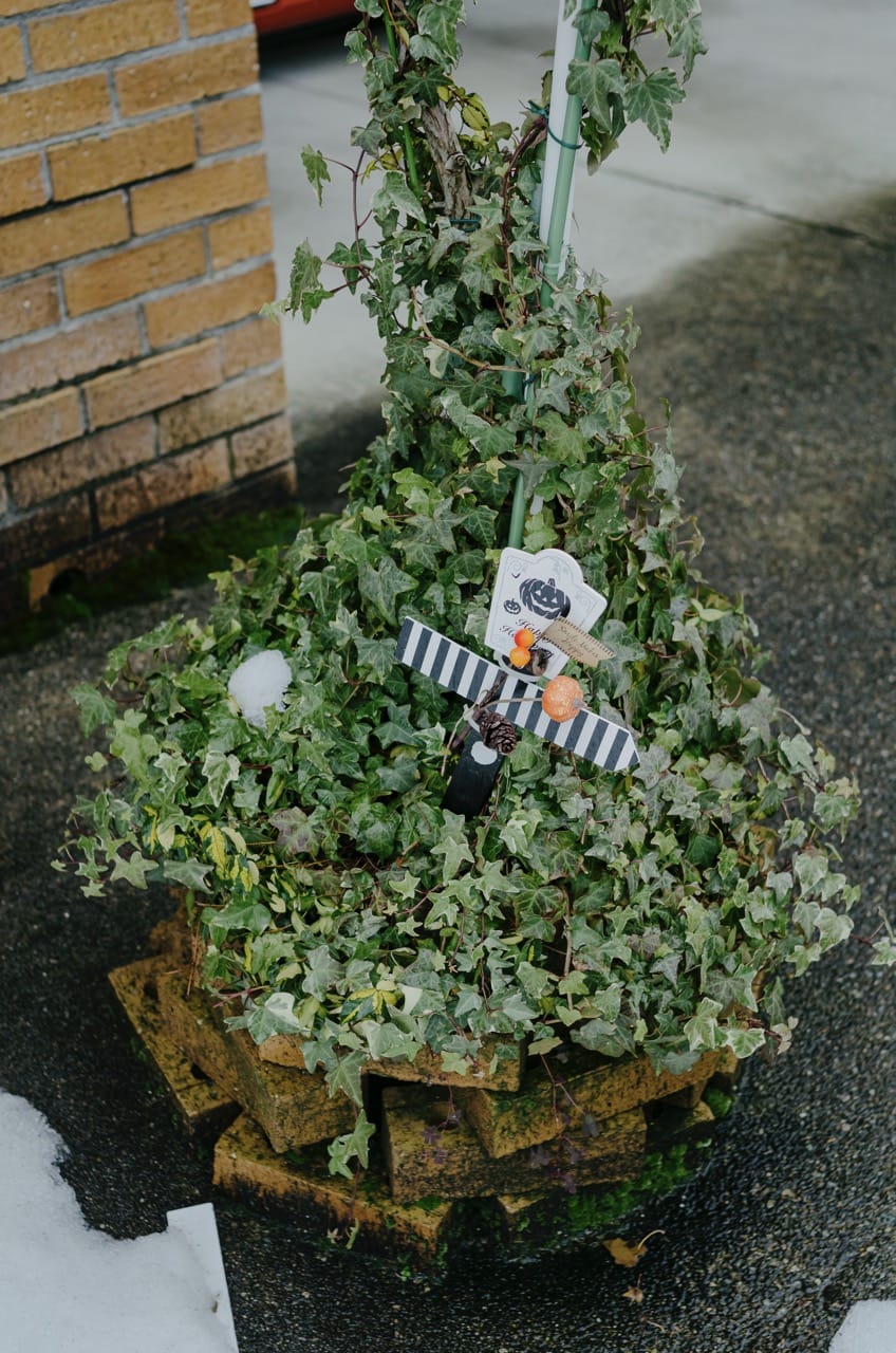 Фото 20 из альбома Kanazawa 2024