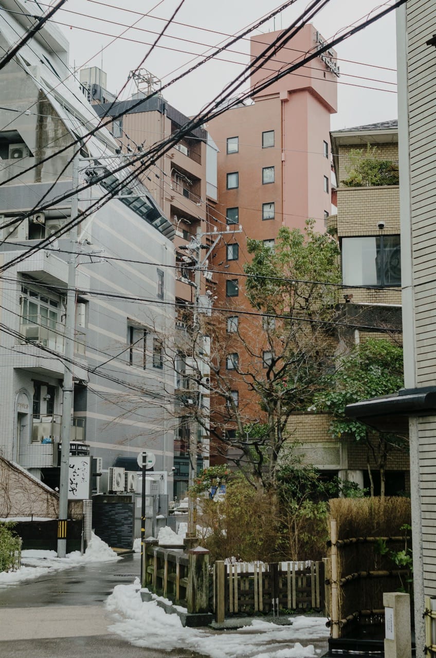 Фото 30 из альбома Kanazawa 2024