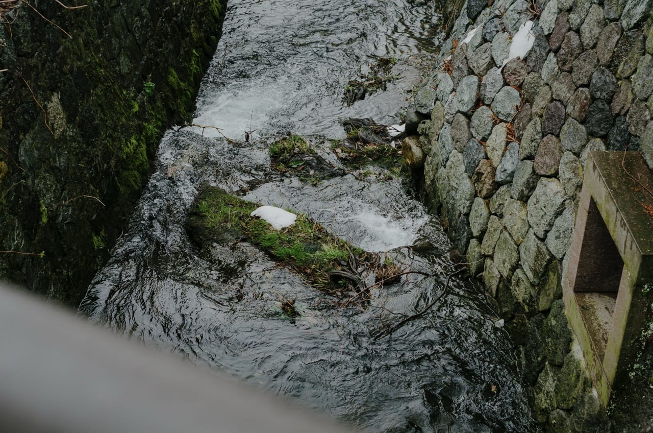 Фото 38 из альбома Kanazawa 2024