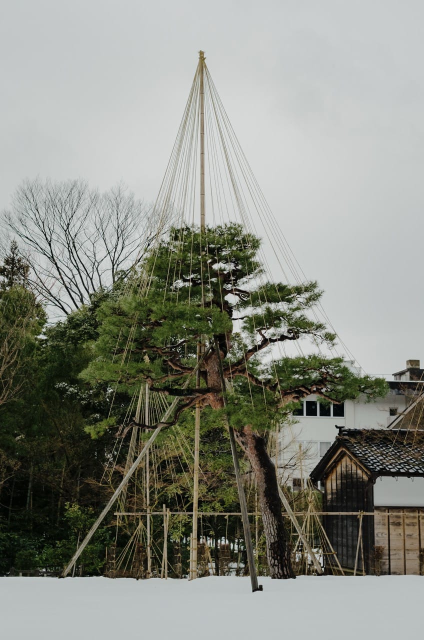 Фото 40 из альбома Kanazawa 2024