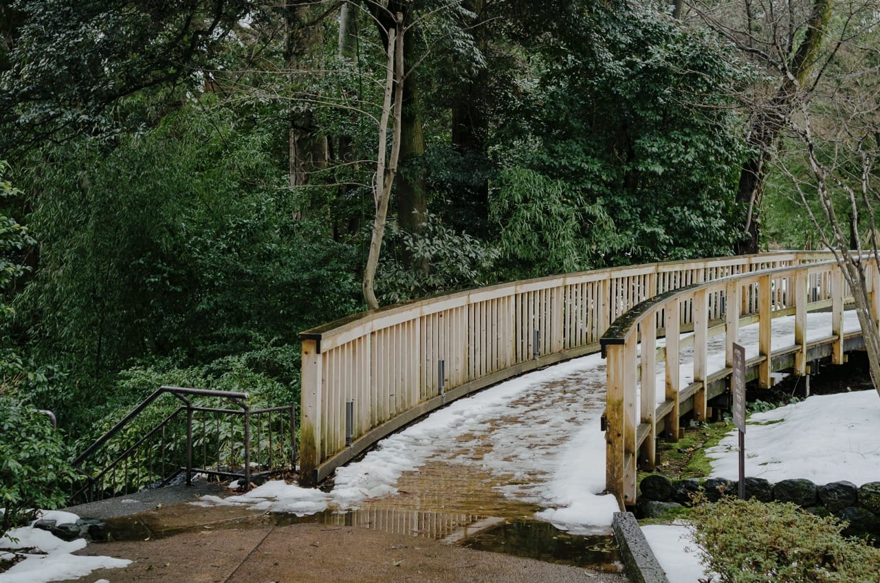 Фото 48 из альбома Kanazawa 2024