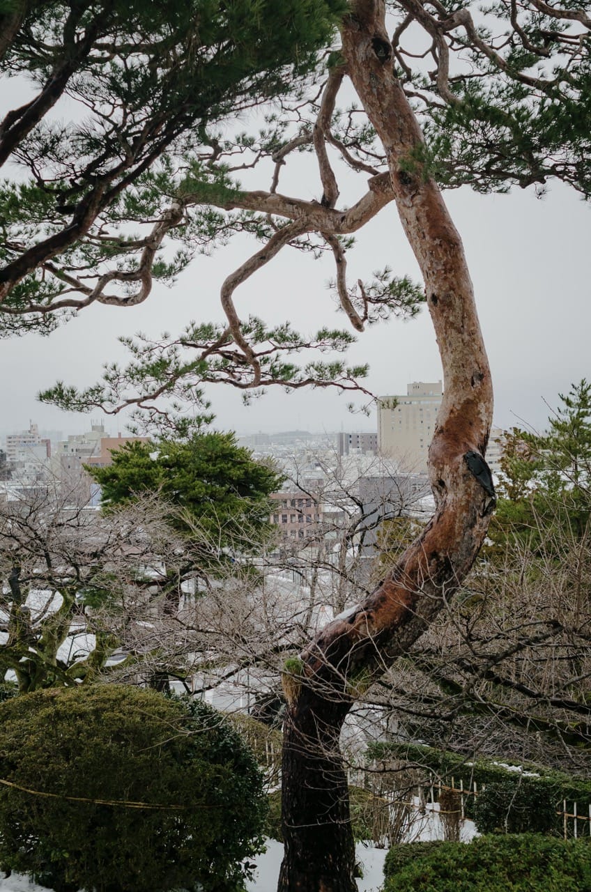 Фото 52 из альбома Kanazawa 2024