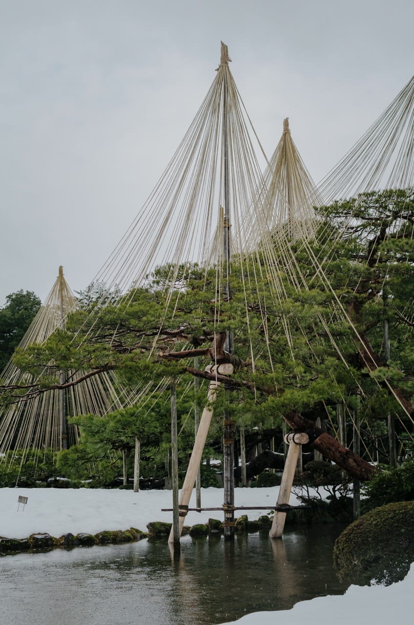 Фото 57 из альбома Kanazawa 2024